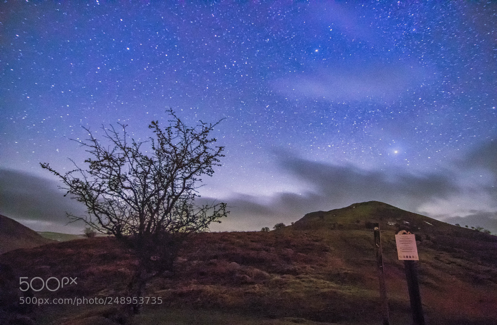 Canon EOS 80D sample photo. Mynydd llangorse - tree photography