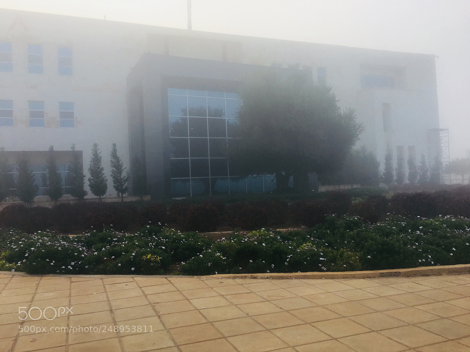 Apple iPhone 6s Plus sample photo. Untitled photography