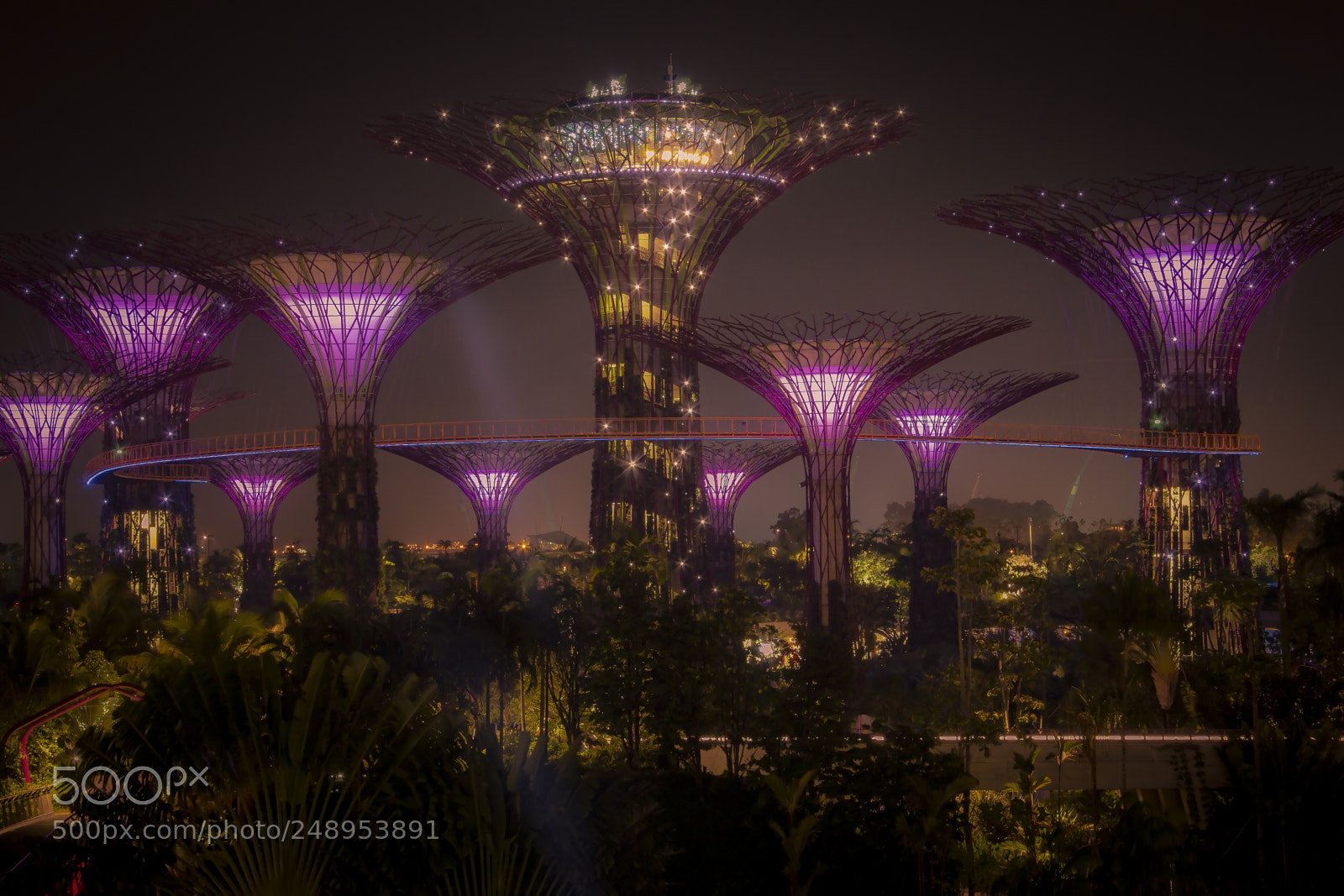 Canon EOS 60D sample photo. Garden by the bay photography
