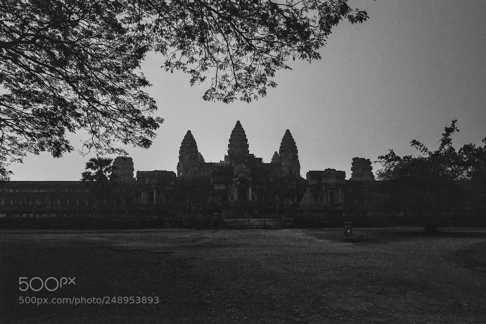 Nikon D610 sample photo. Angkor wat photography