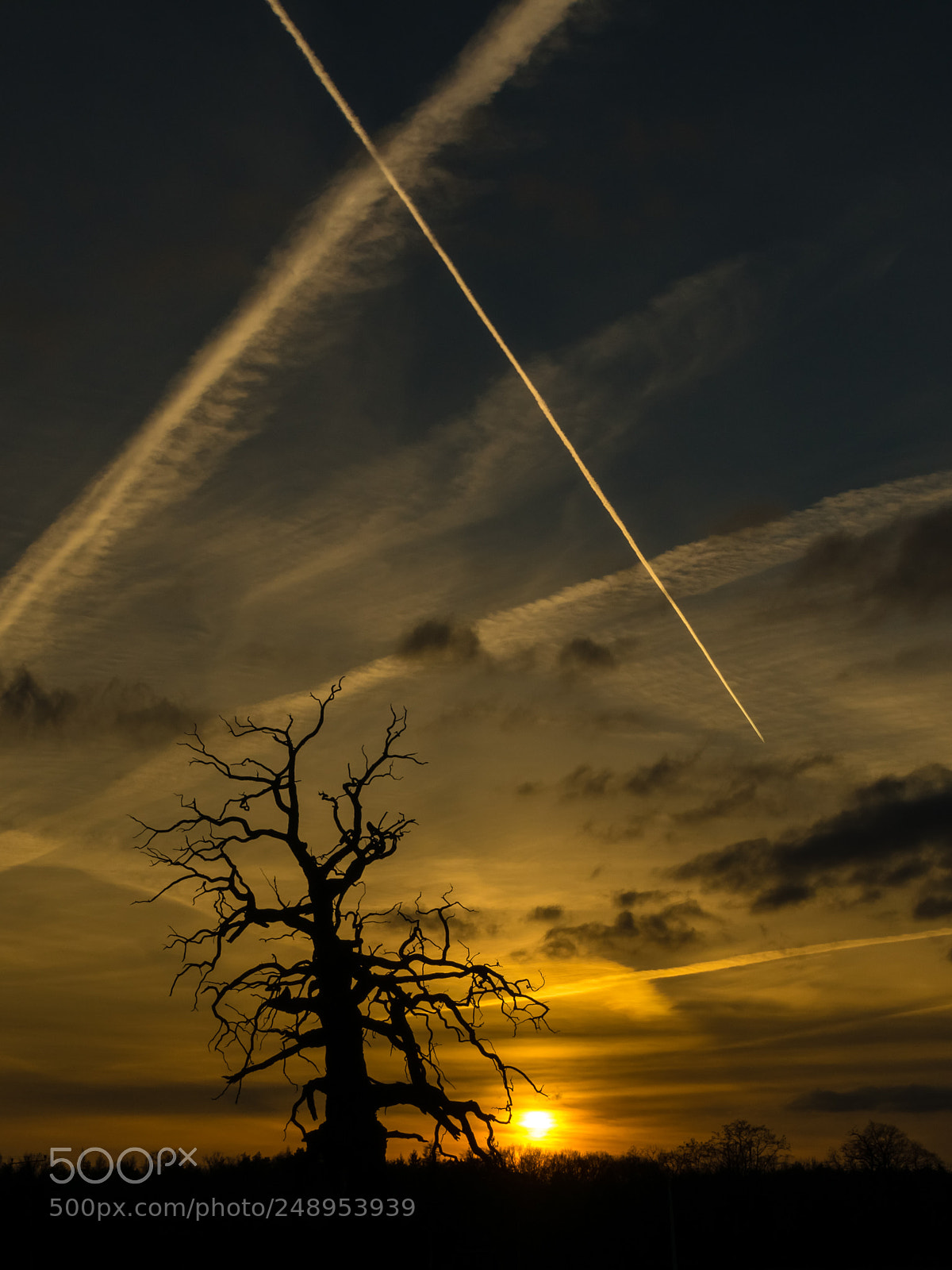 Pentax K-3 sample photo. Gold and blue sunset photography