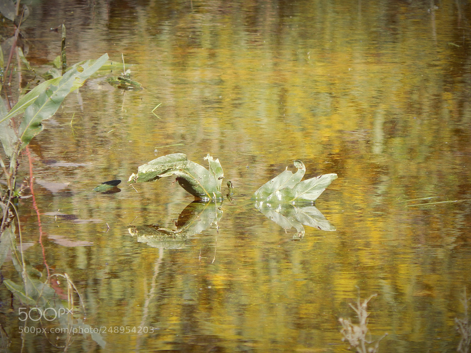 Nikon Coolpix L820 sample photo. Lake reflections photography