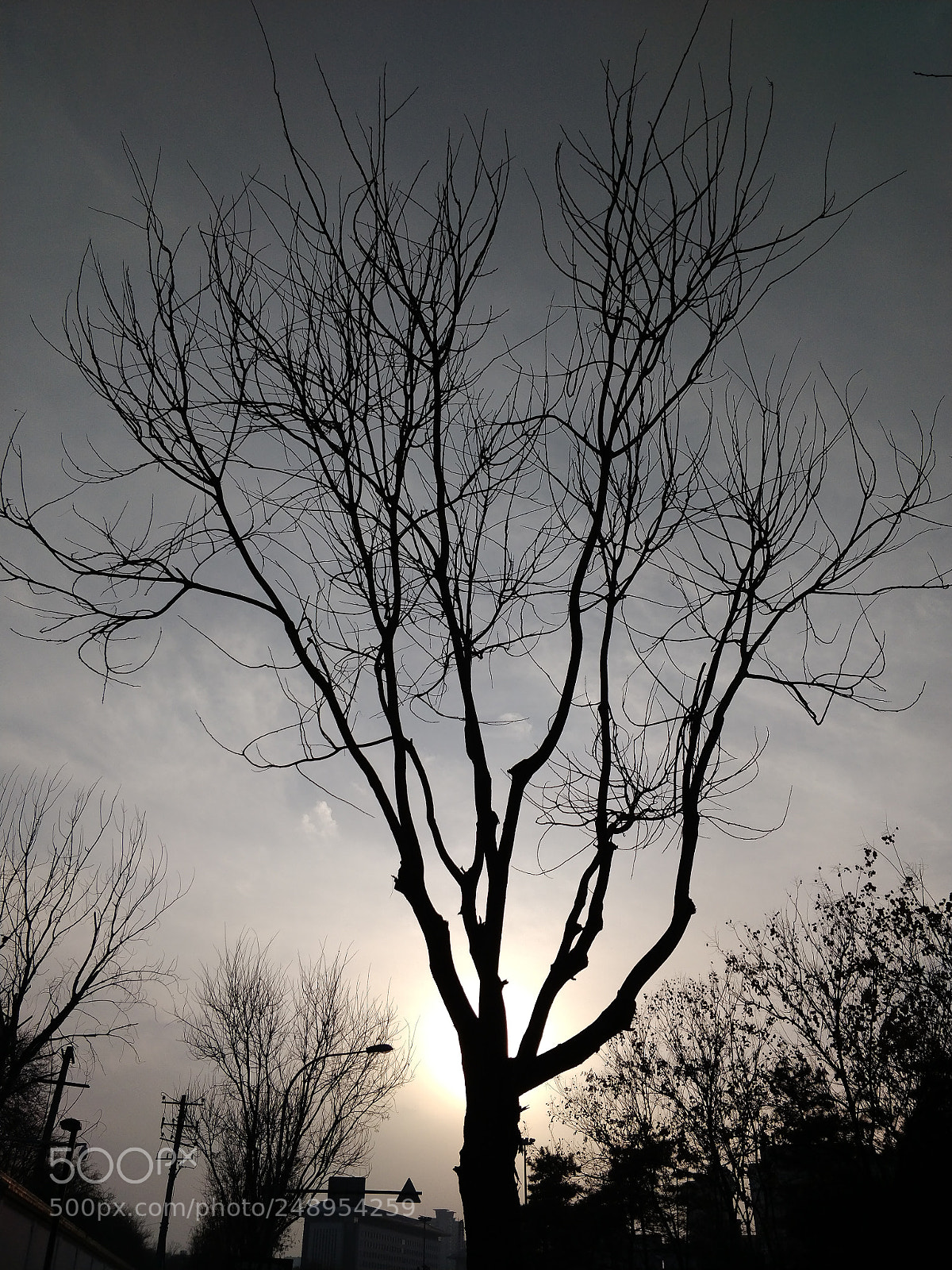 OnePlus 5T sample photo. Img_20180307_174626.jpg photography