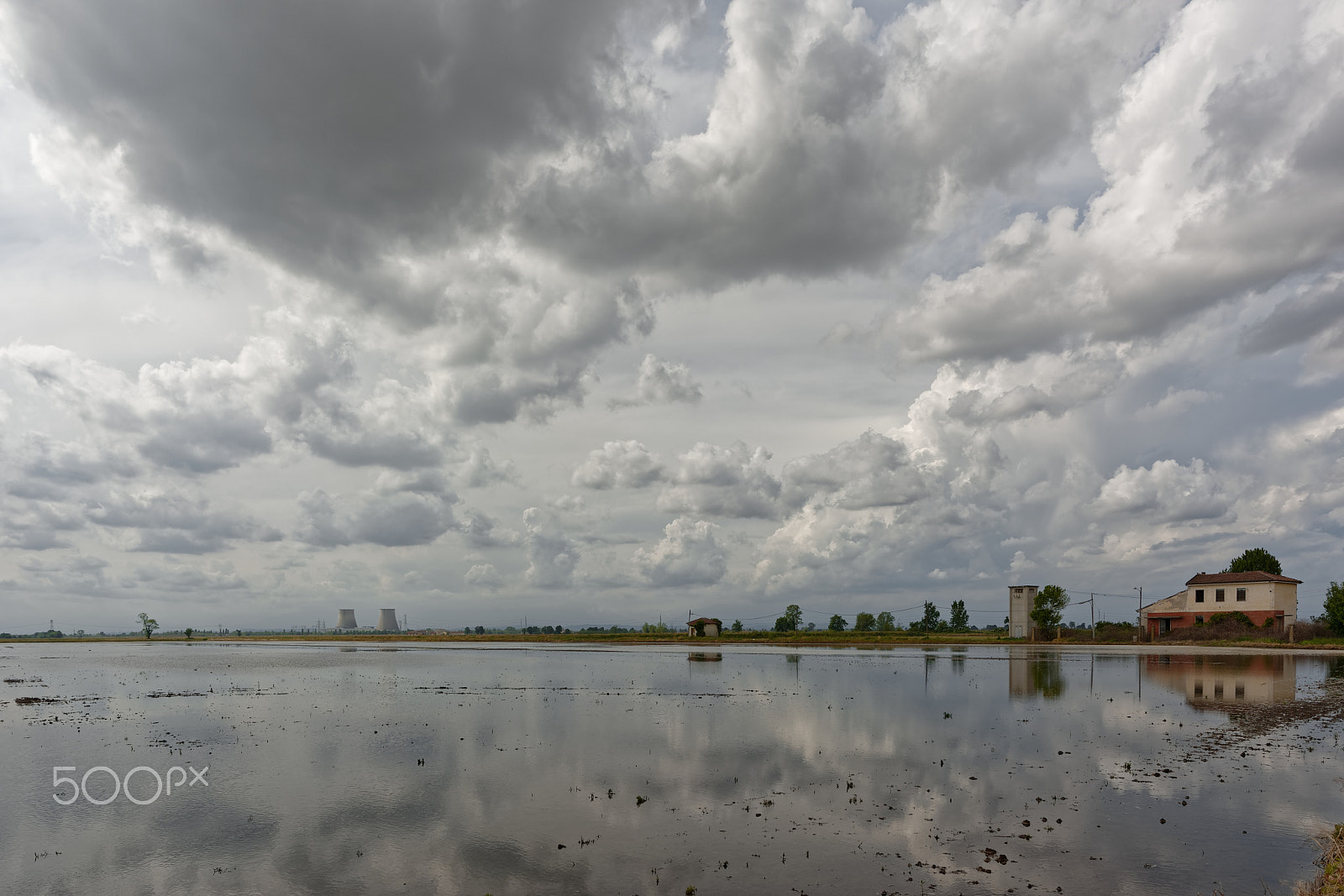 Nikon AF-S Nikkor 14-24mm F2.8G ED sample photo. Rice field photography