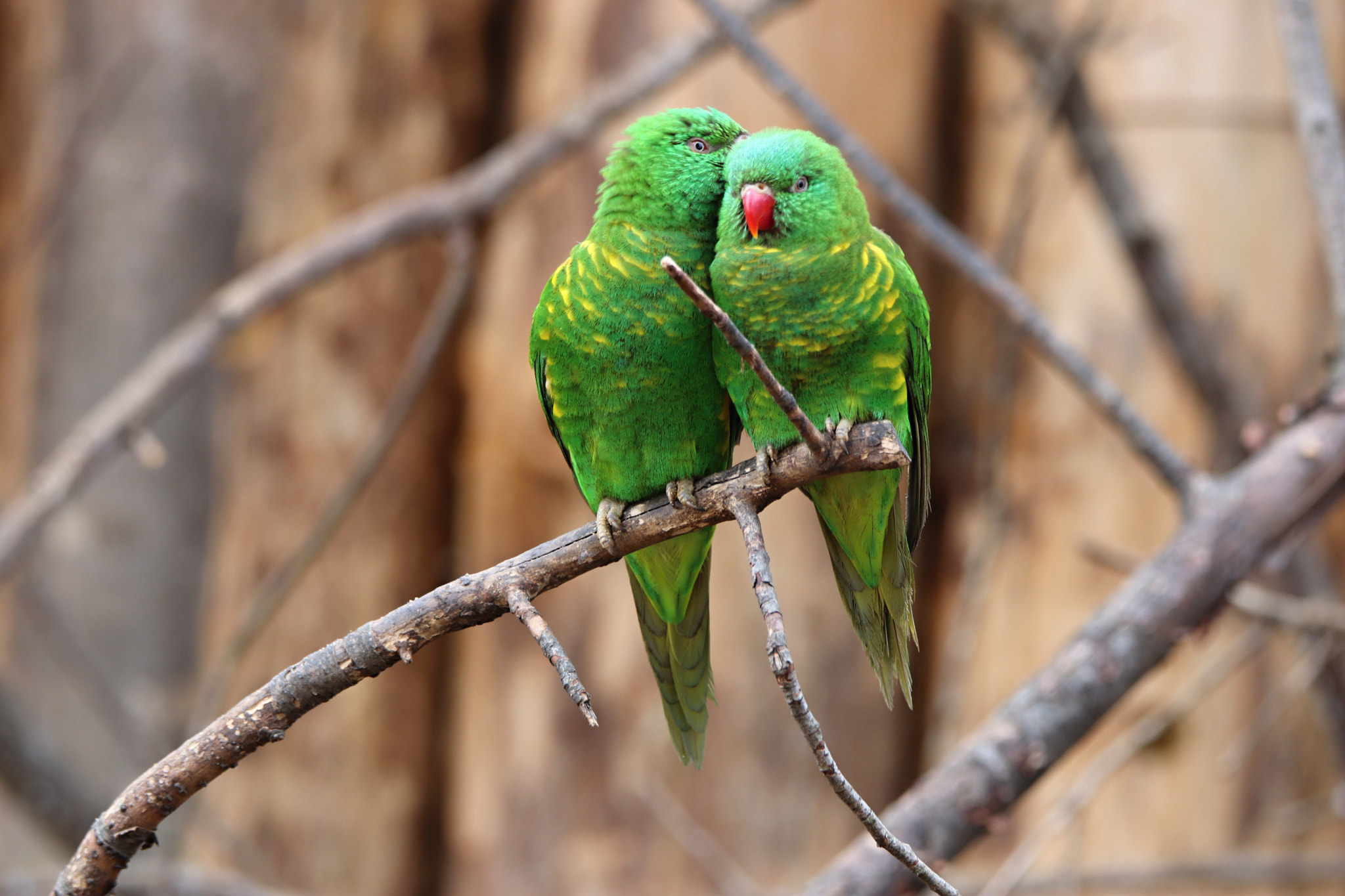 Tamron SP 150-600mm F5-6.3 Di VC USD sample photo. Img photography