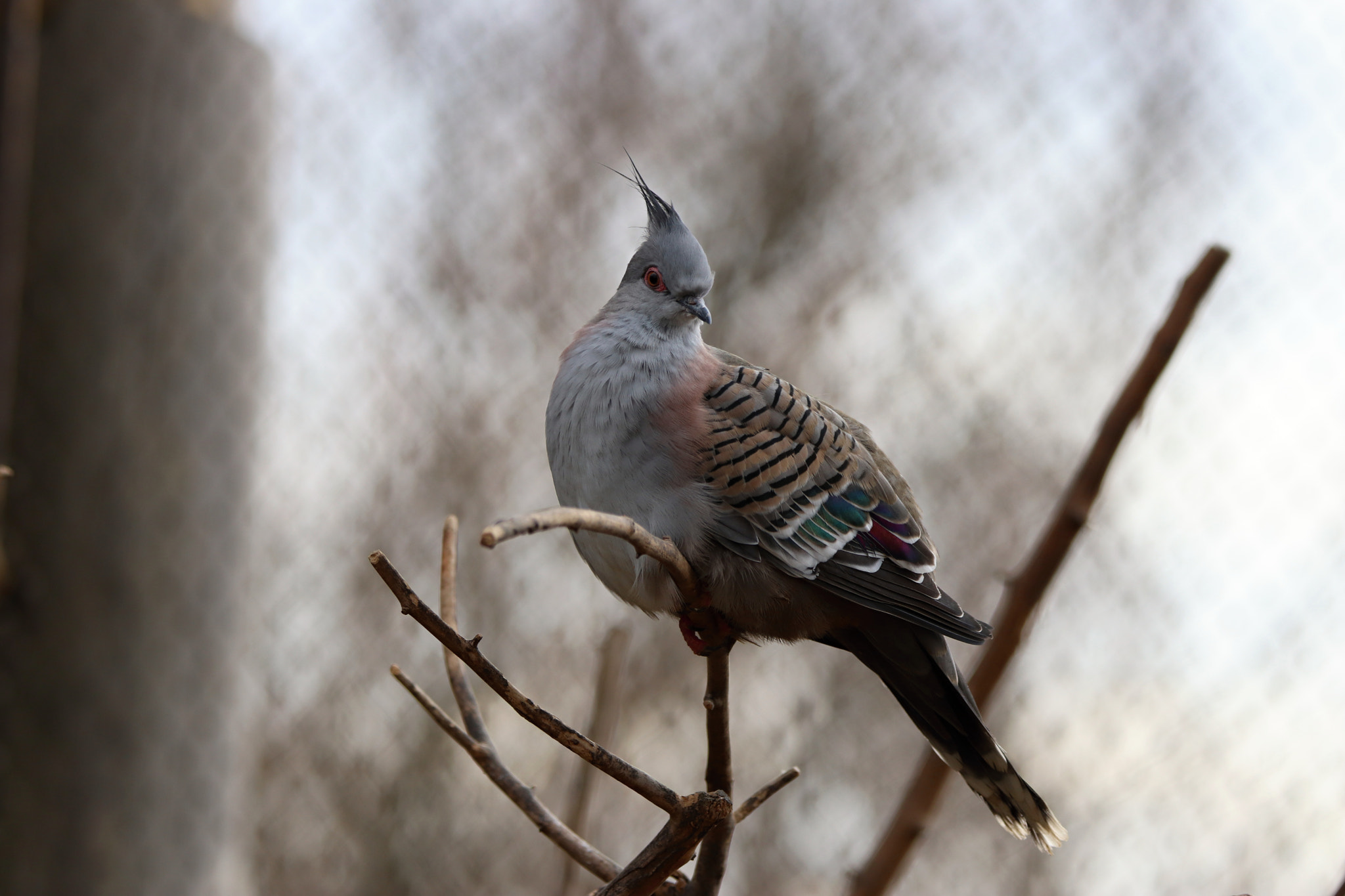 Tamron SP 150-600mm F5-6.3 Di VC USD sample photo. Img photography
