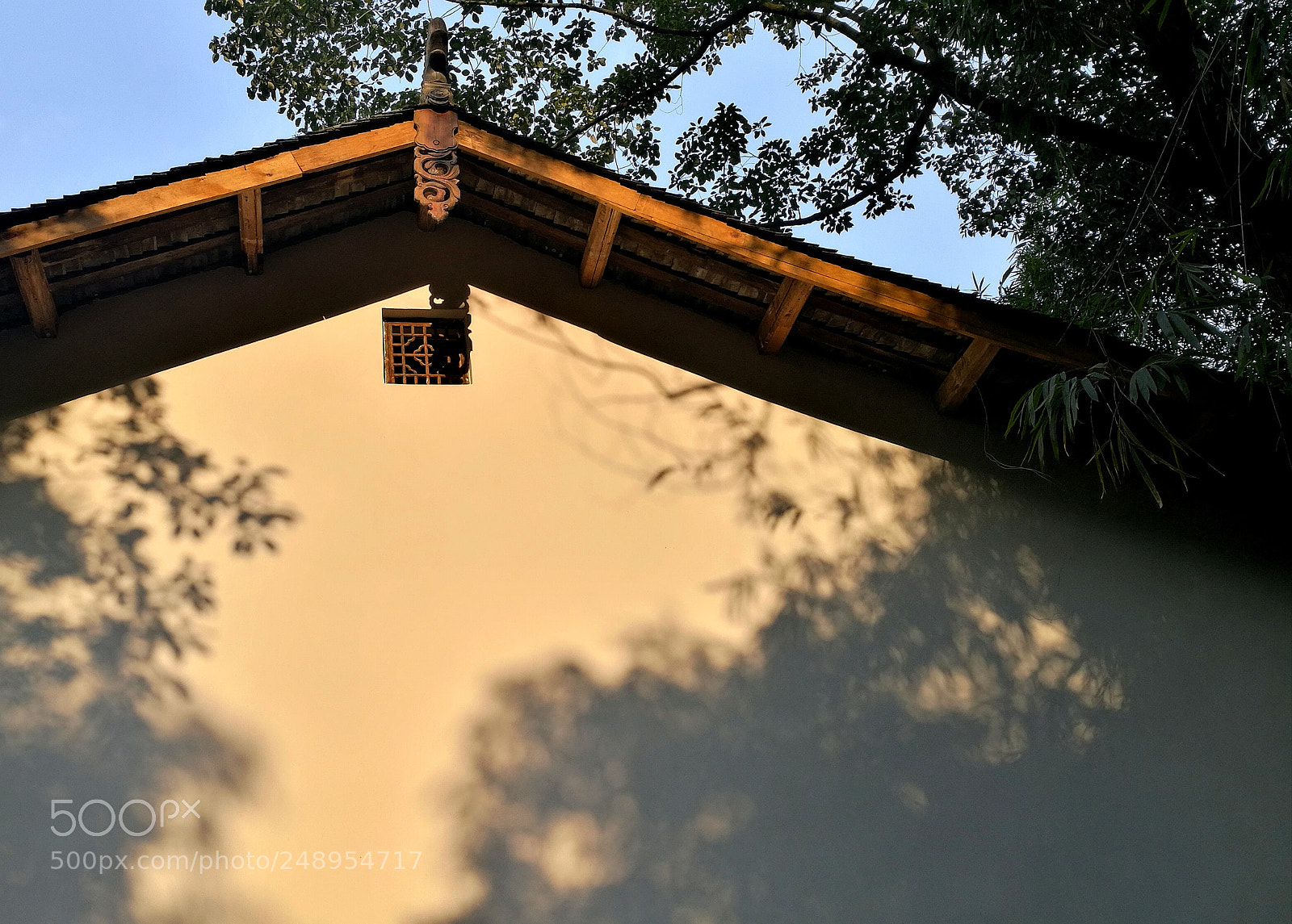 HUAWEI Honor 8 sample photo. Untitled photography