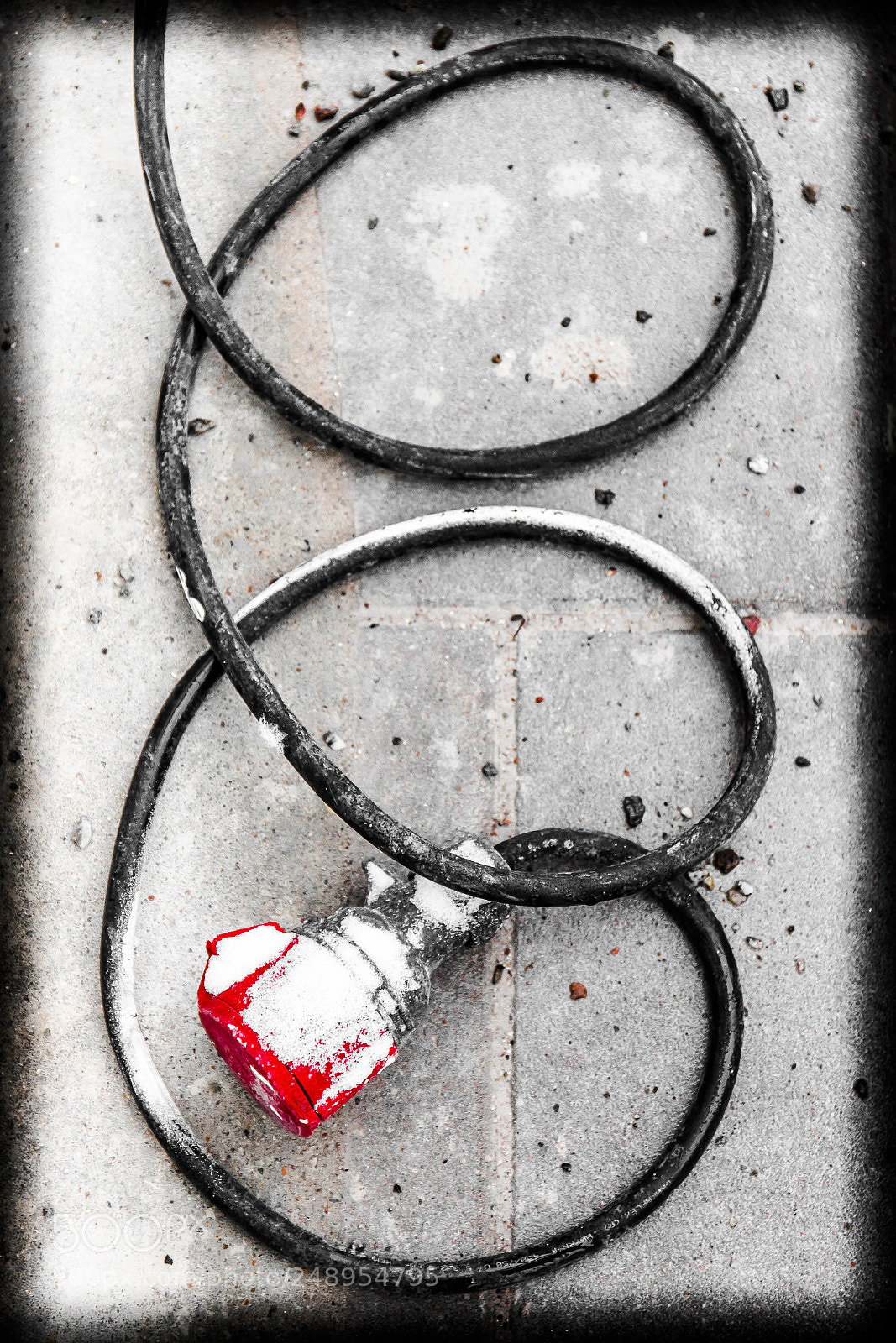 Canon EOS 5D Mark IV sample photo. The extension cord photography