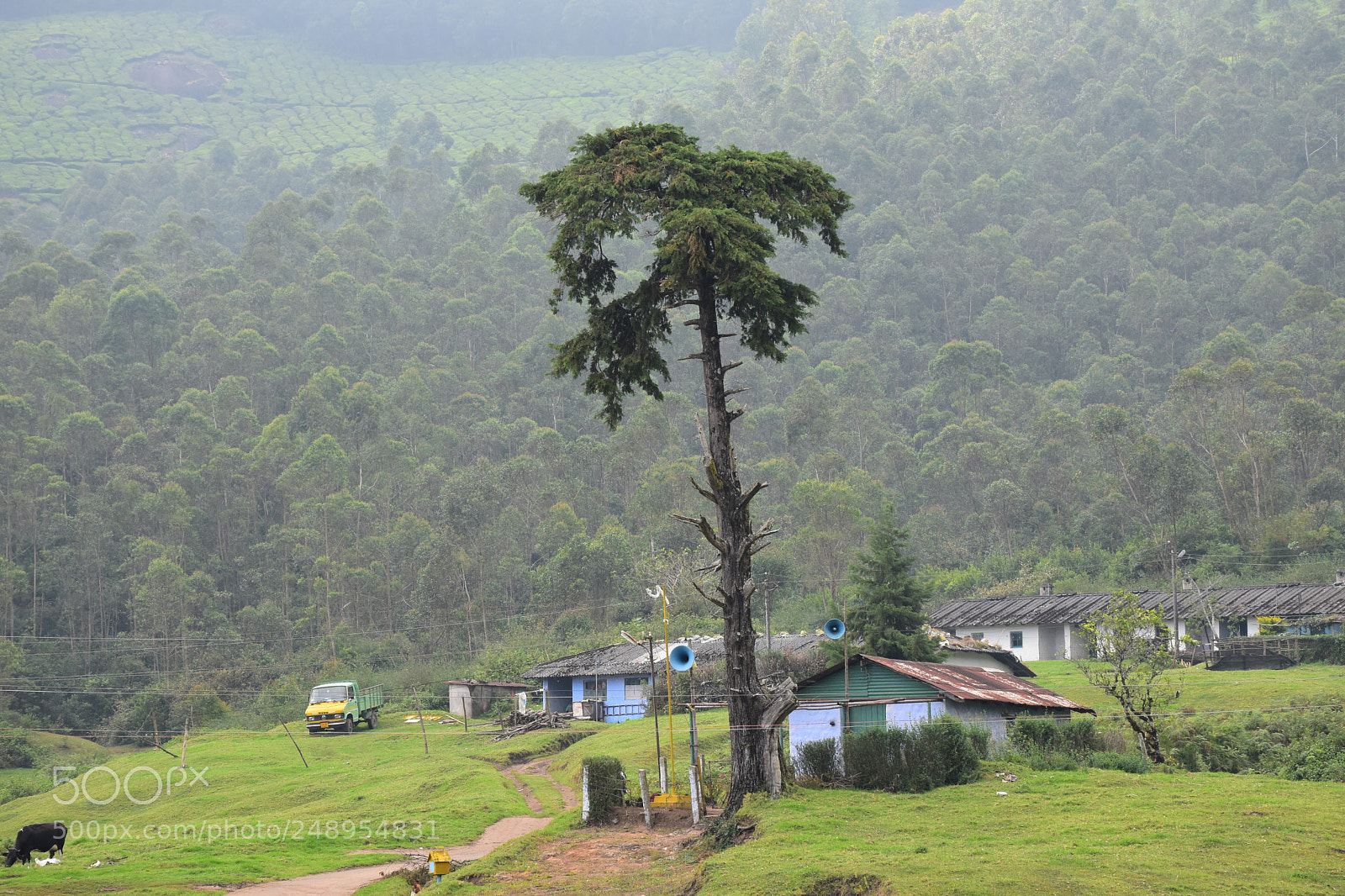 Nikon D5600 sample photo. Village photography