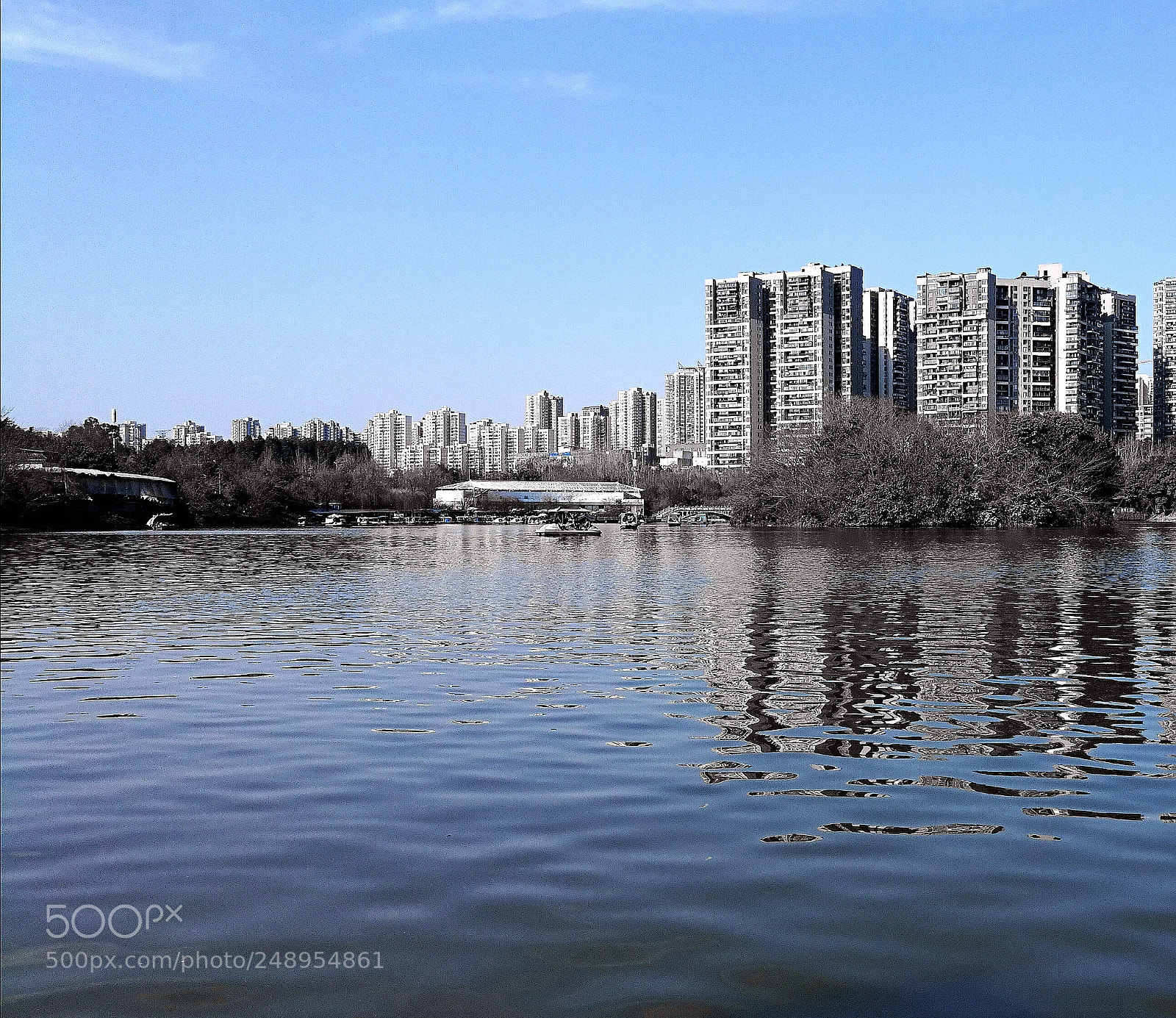 HUAWEI Honor 8 sample photo. Untitled photography