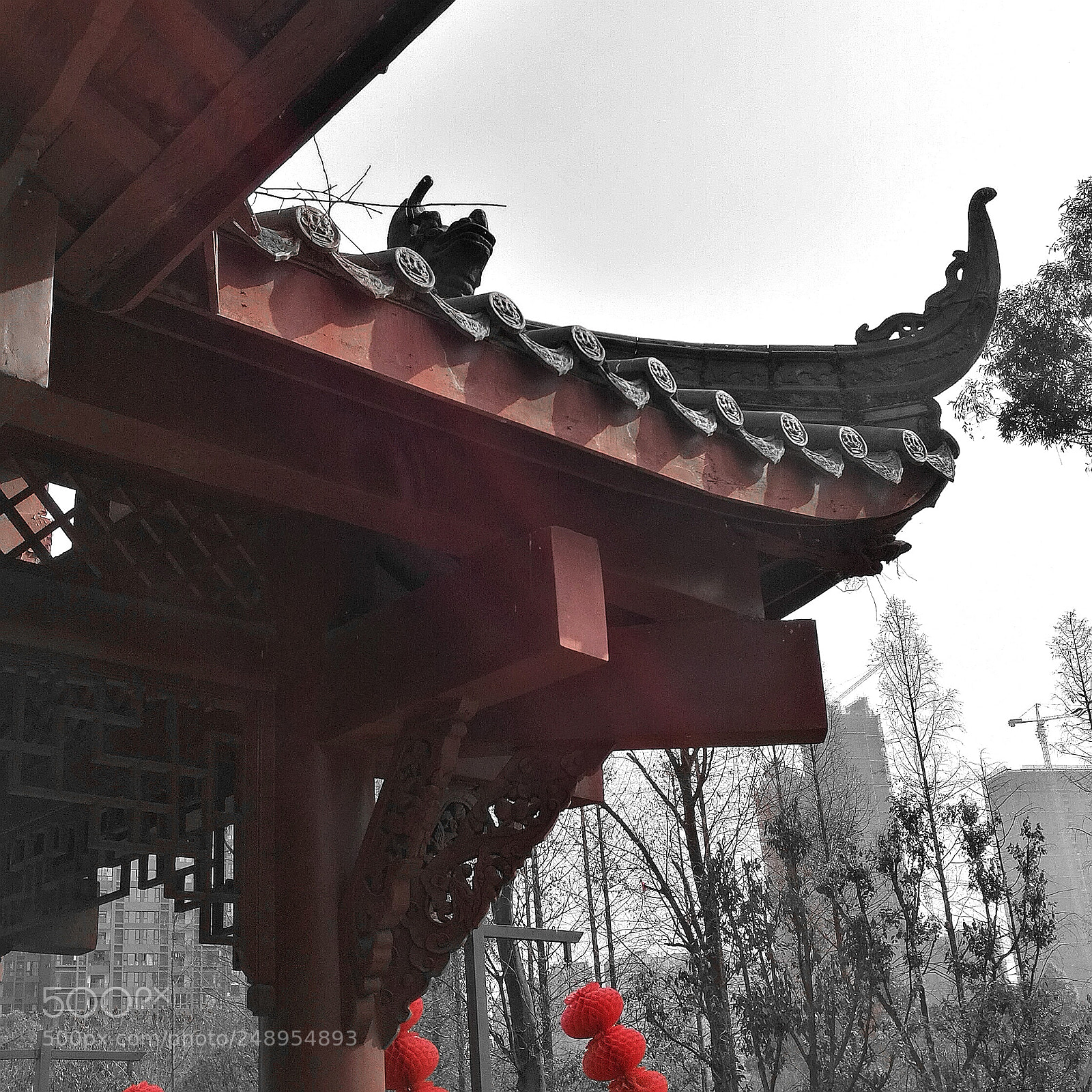 HUAWEI Honor 8 sample photo. Untitled photography