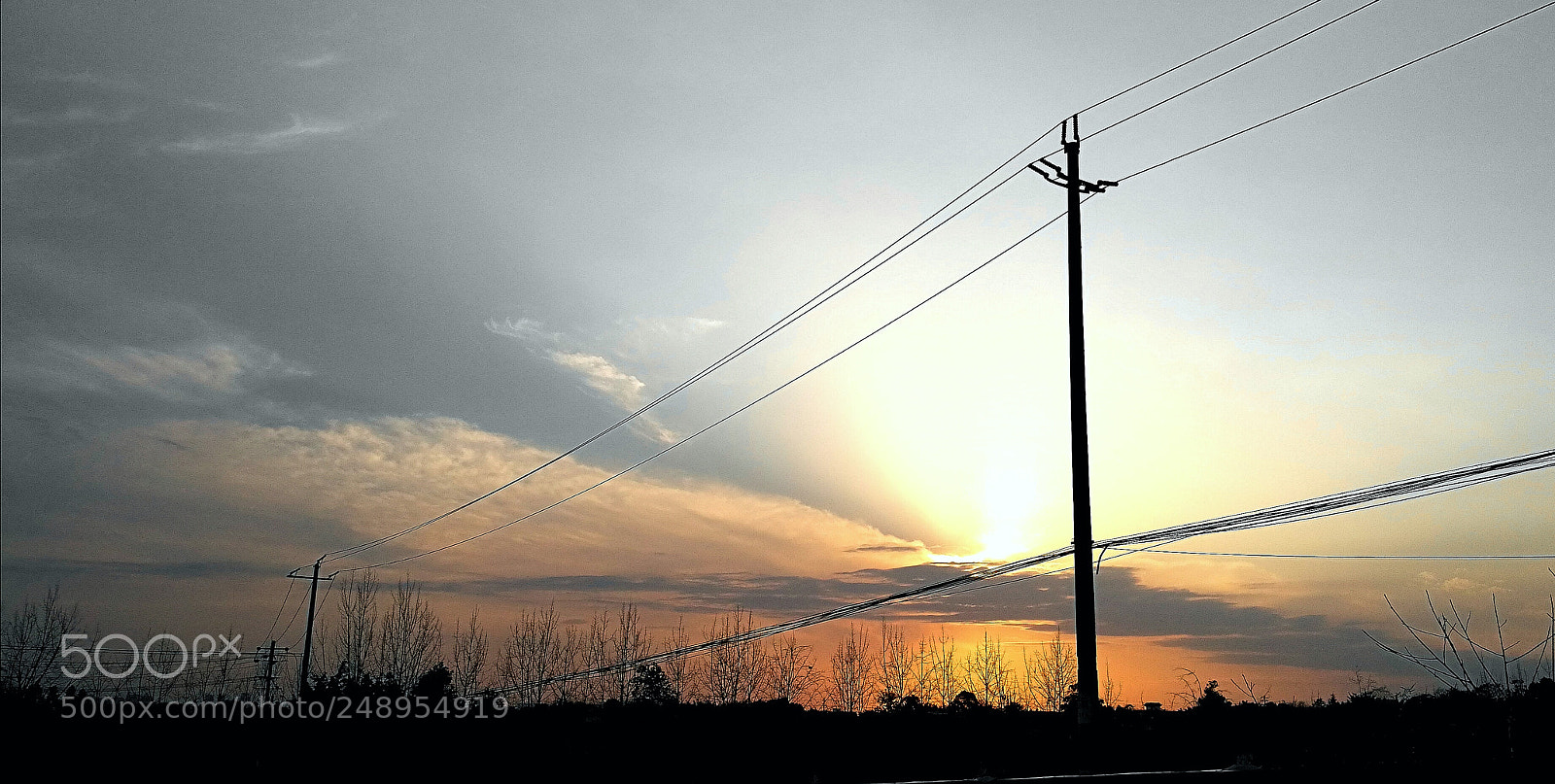 HUAWEI Honor 8 sample photo. Untitled photography