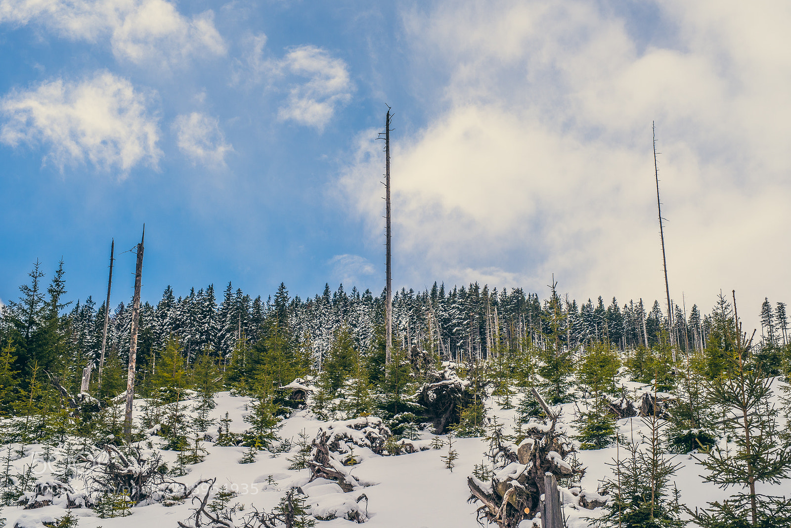 Nikon D810 sample photo. I'm walking to the photography