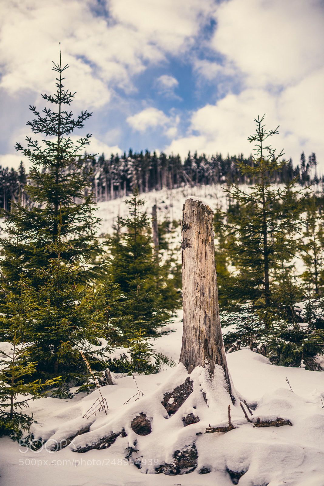 Nikon D810 sample photo. I'm walking to the photography