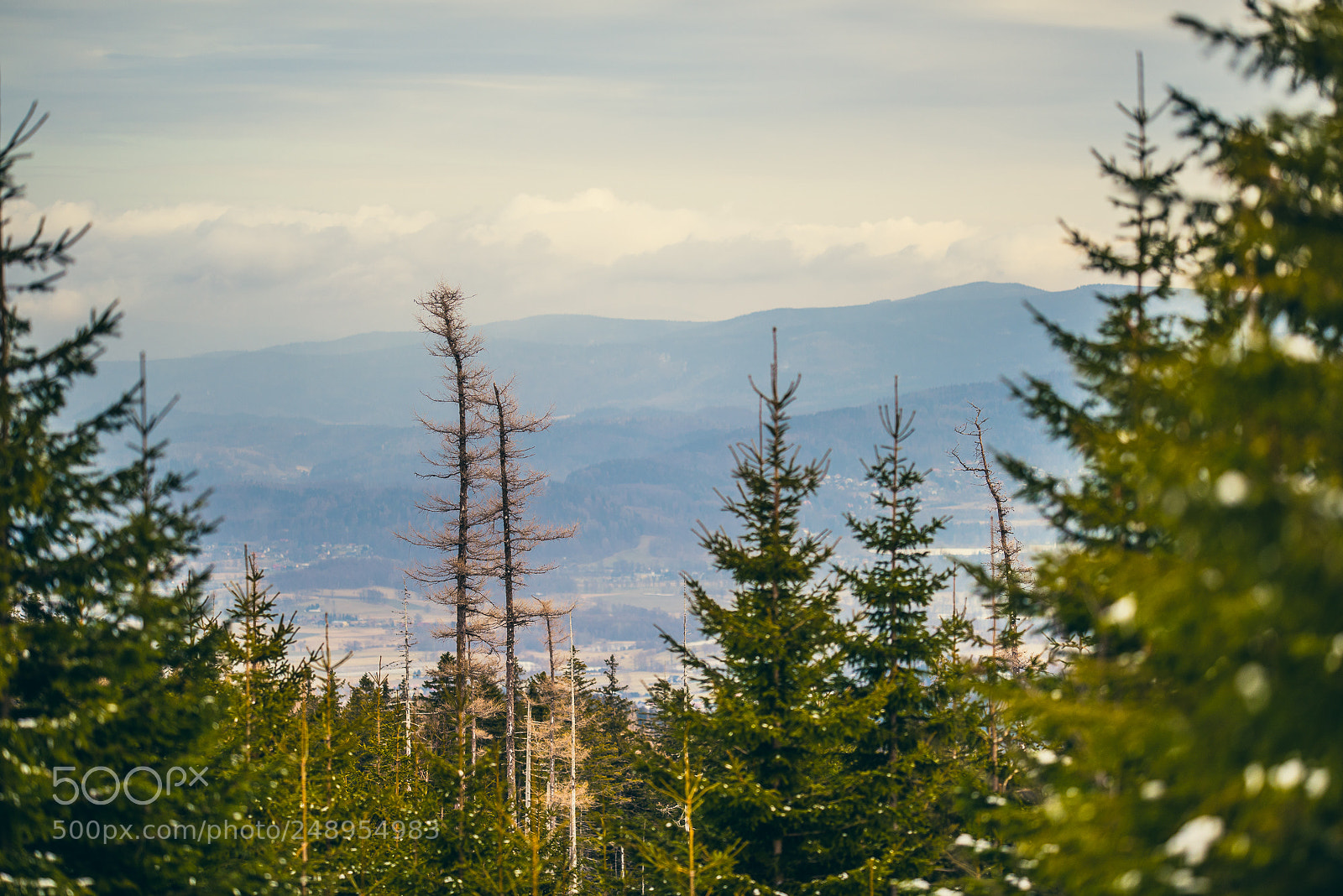 Nikon D810 sample photo. I'm walking to the photography