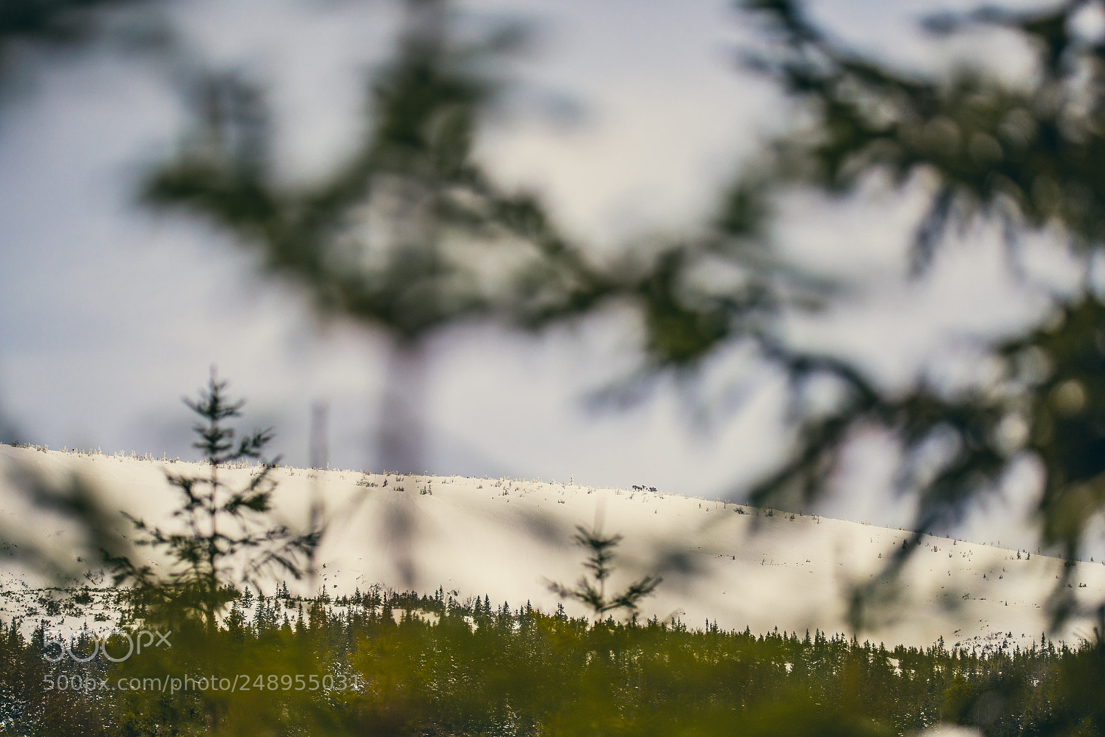 Nikon D810 sample photo. I'm walking to the photography