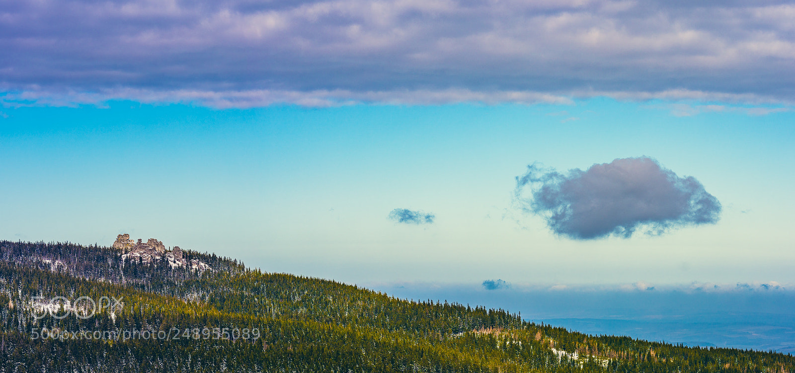 Nikon D810 sample photo. I'm walking in the photography