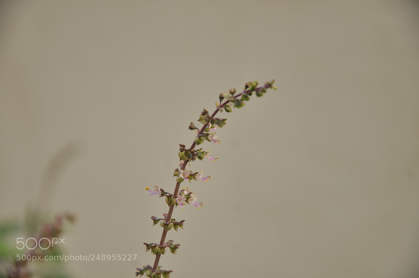 Nikon D90 sample photo. Simply superb photography