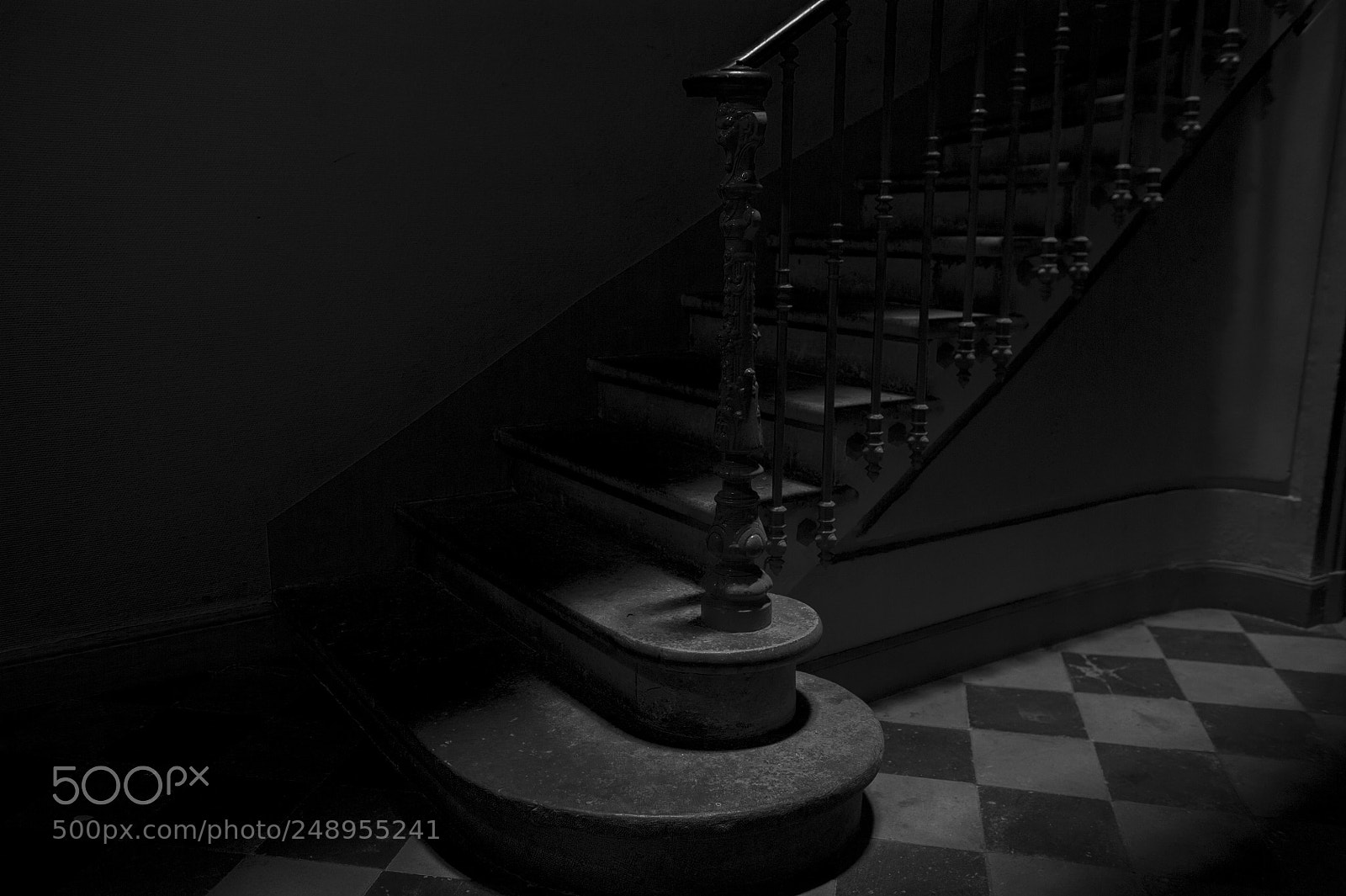 Nikon D700 sample photo. Untitled photography