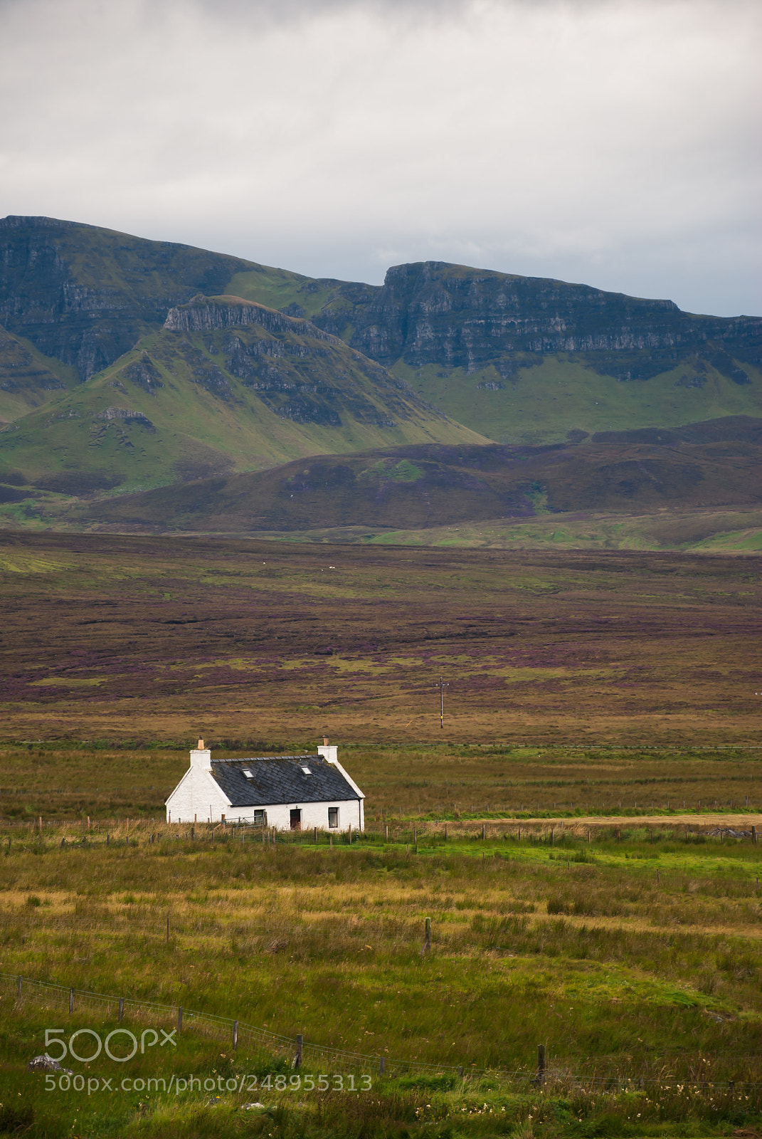 Nikon D60 sample photo. Off the beaten track photography
