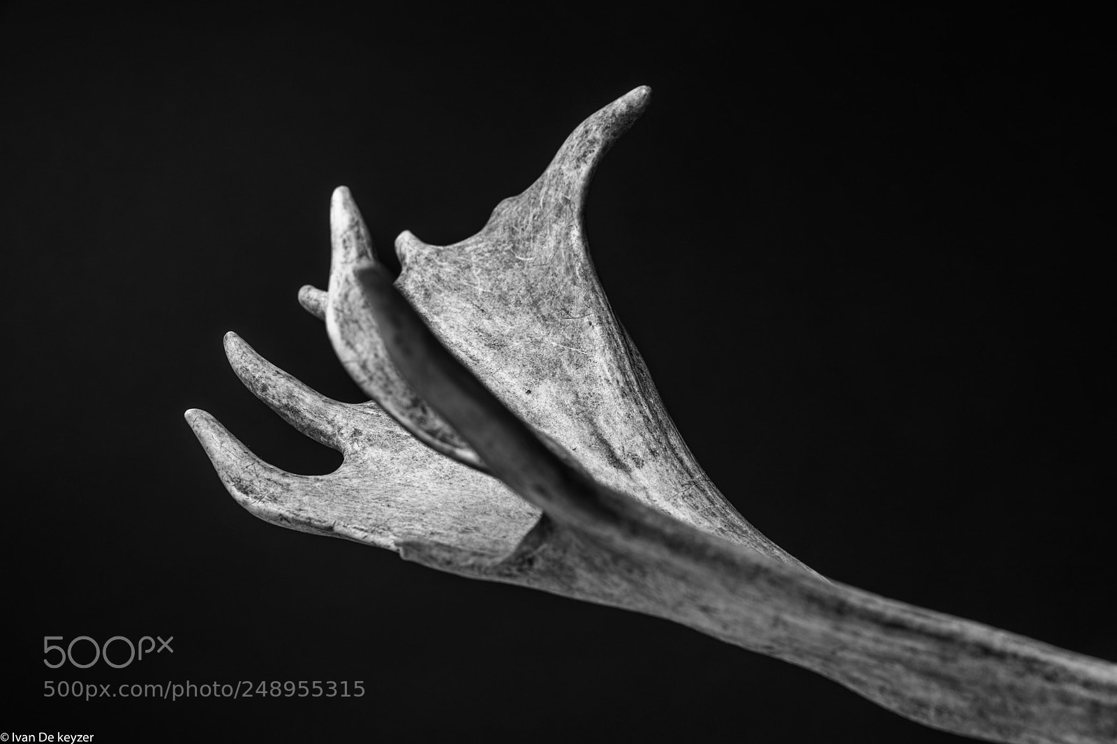 Sony a7 II sample photo. Dsc photography