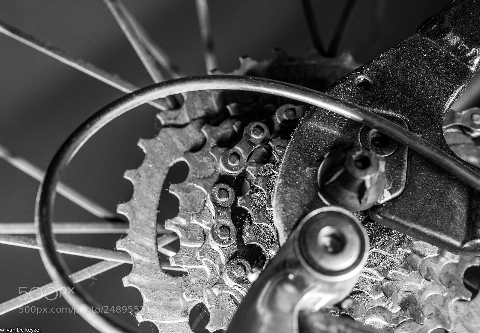 Sony a7 II sample photo. Dsc photography