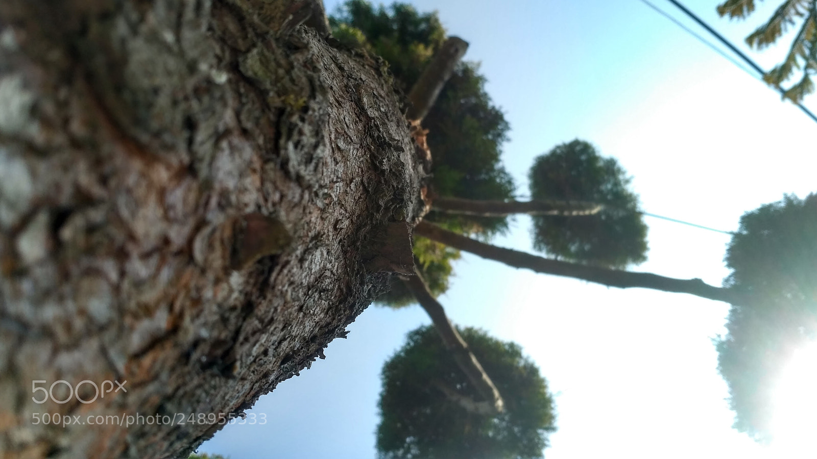 Xiaomi Redmi 3S sample photo. Hdr photography