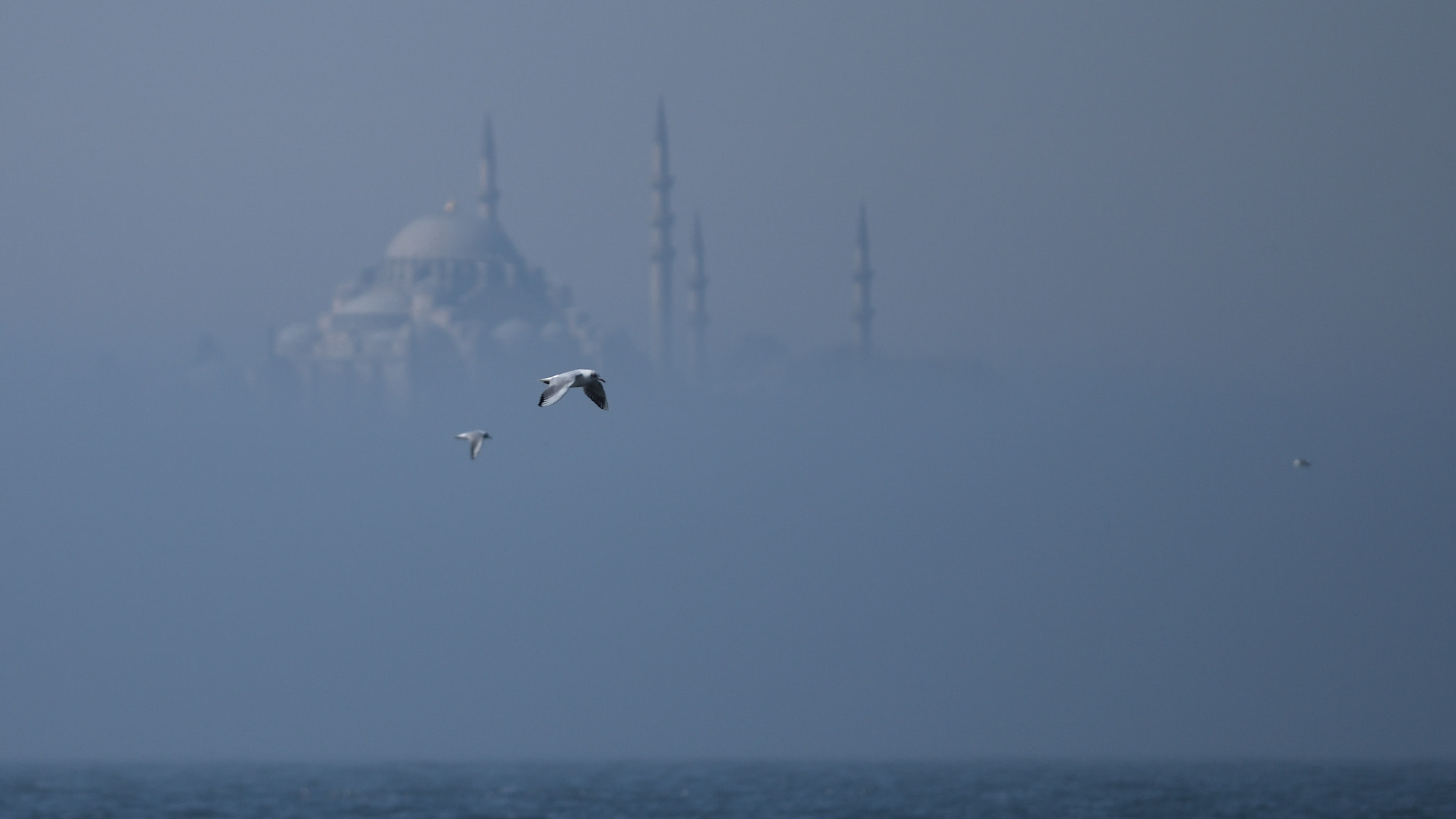 Nikon D810 sample photo. The flying mosque photography
