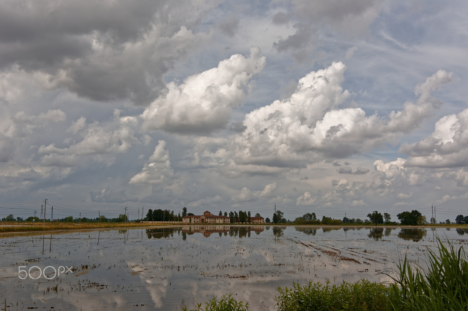 Nikon AF-S Nikkor 24-120mm F4G ED VR sample photo. Rice field reflections photography