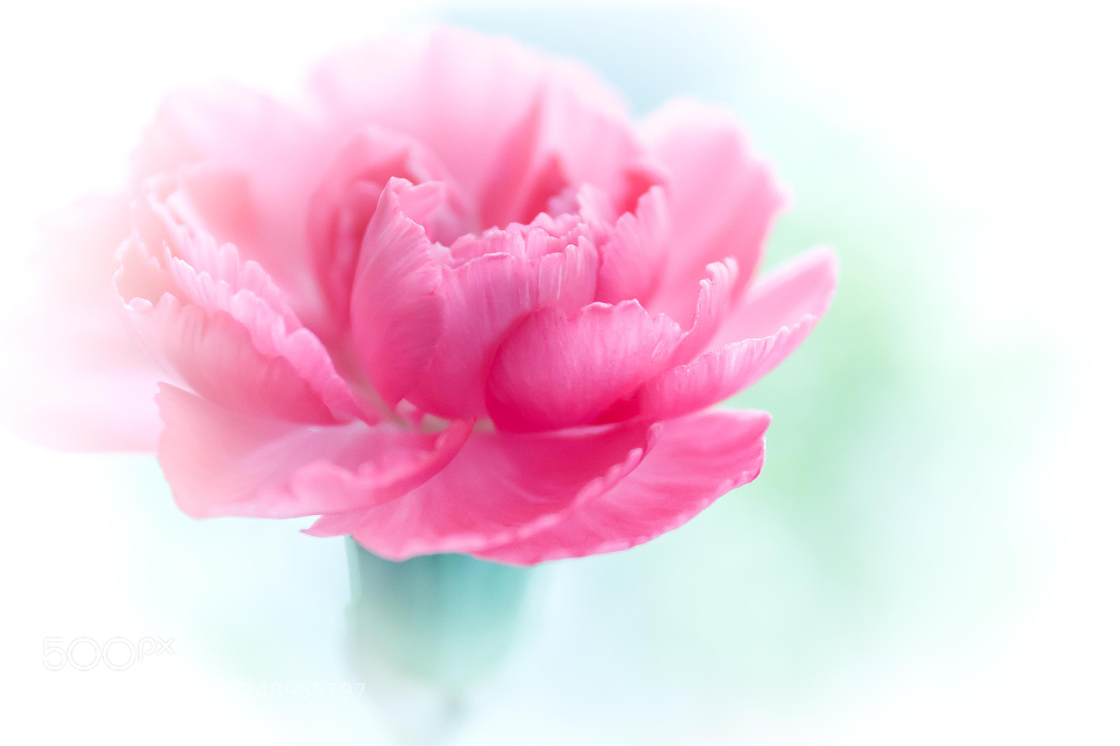 Canon EOS 700D (EOS Rebel T5i / EOS Kiss X7i) sample photo. ... photography