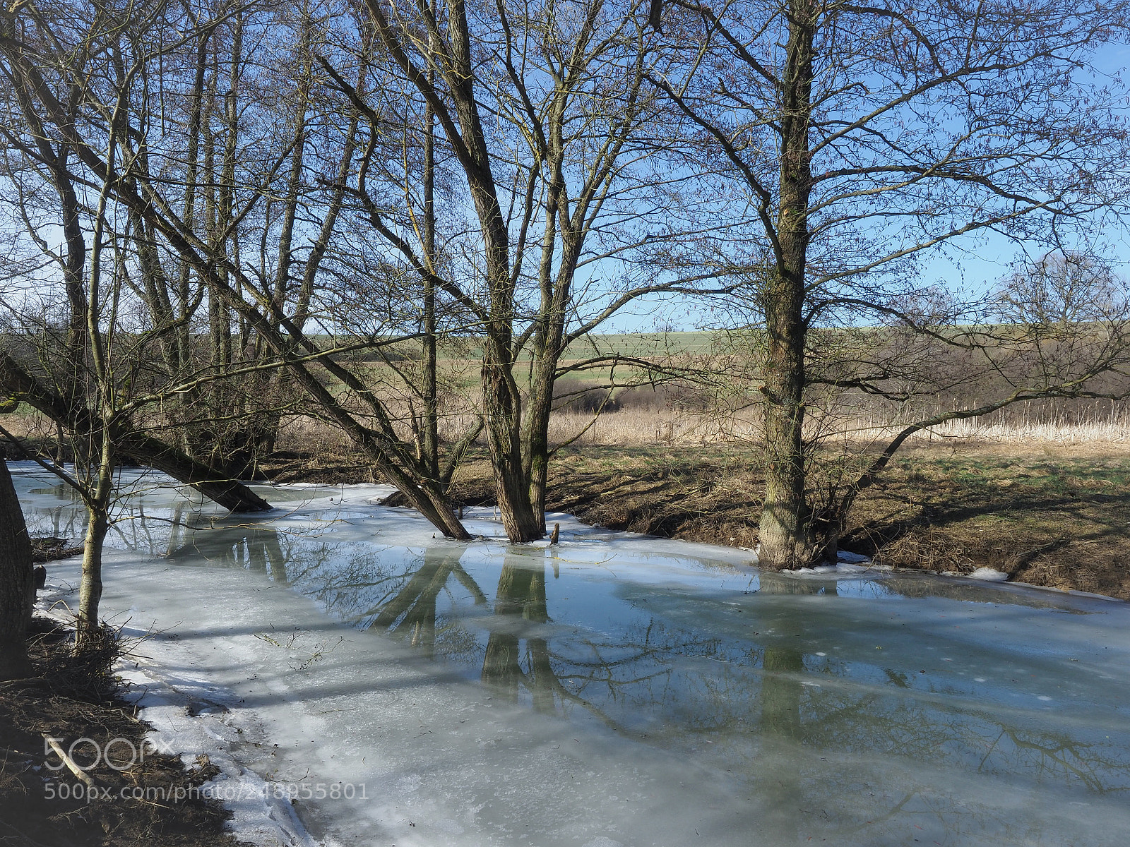 Olympus OM-D E-M1 Mark II sample photo. Wasserstraße ice photography