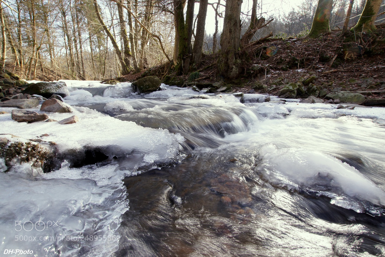 Sony ILCA-77M2 sample photo. Water and ice photography