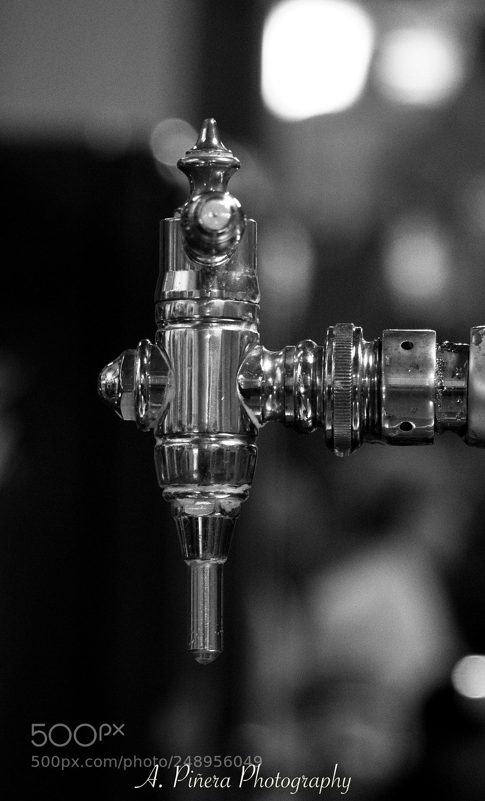 Canon EOS 7D Mark II sample photo. Dale de beber al photography
