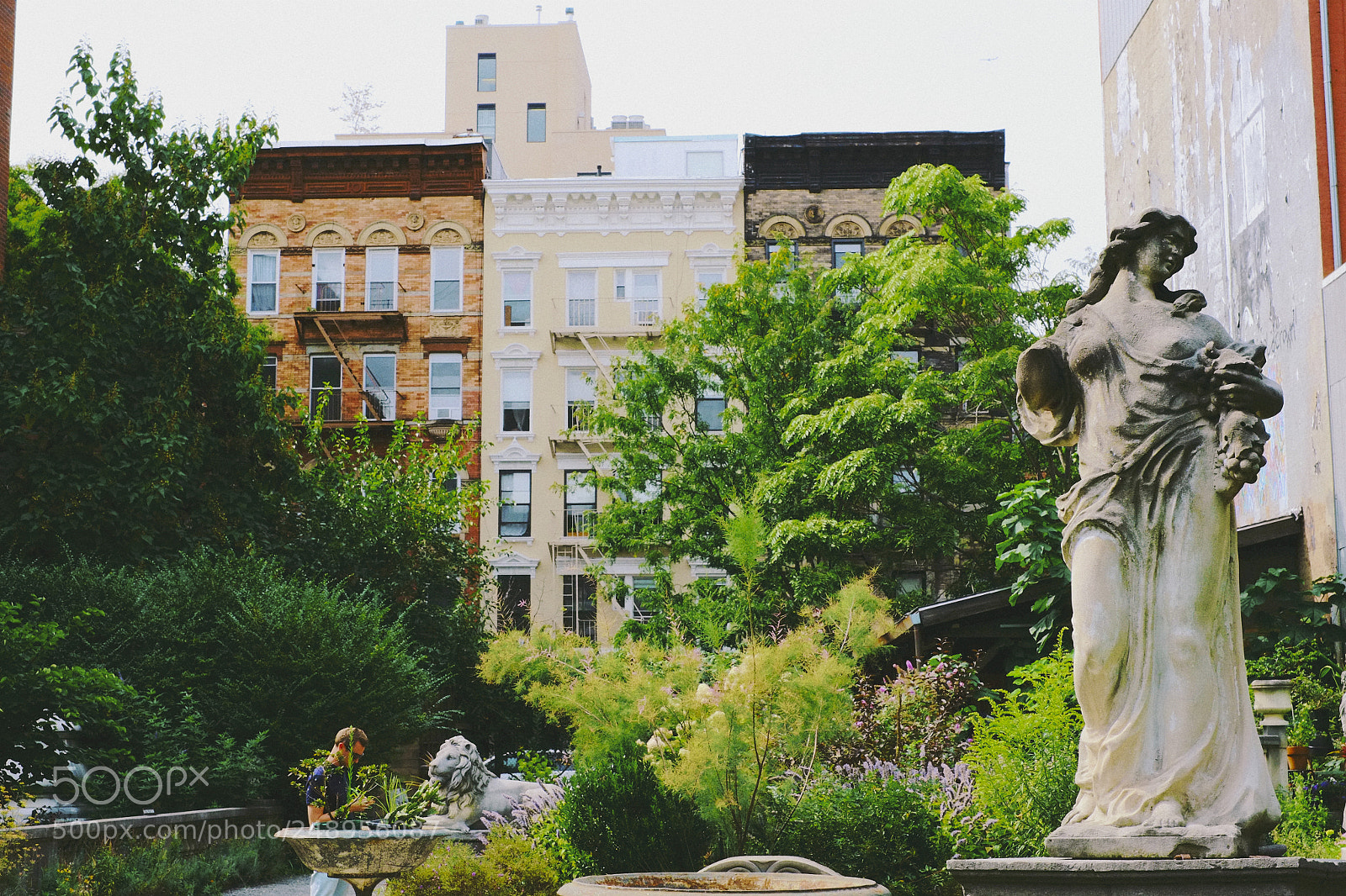 Fujifilm X-Pro1 sample photo. Elizabeth street garden photography