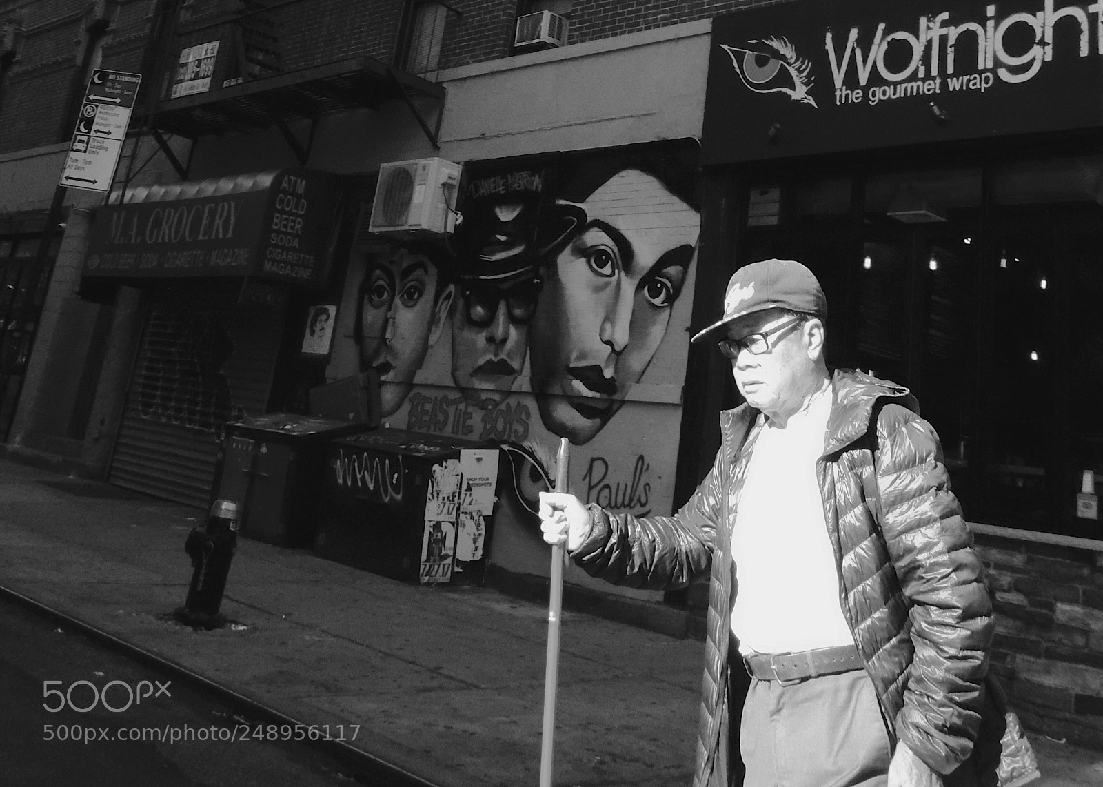Fujifilm X-Pro1 sample photo. Head on a stick photography