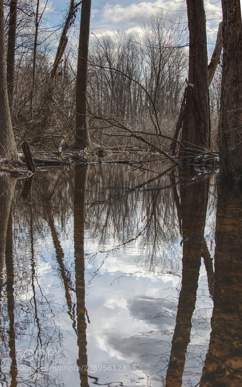 Canon EOS M5 sample photo. Reflections in the woods photography