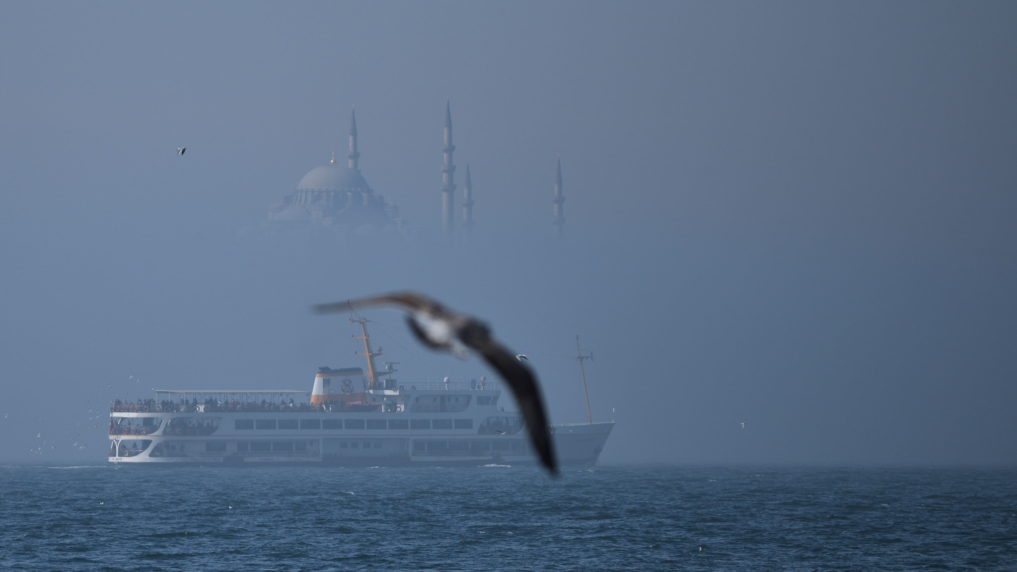 Nikon D810 + Nikon AF-S Nikkor 70-200mm F4G ED VR sample photo. Istanbul photography