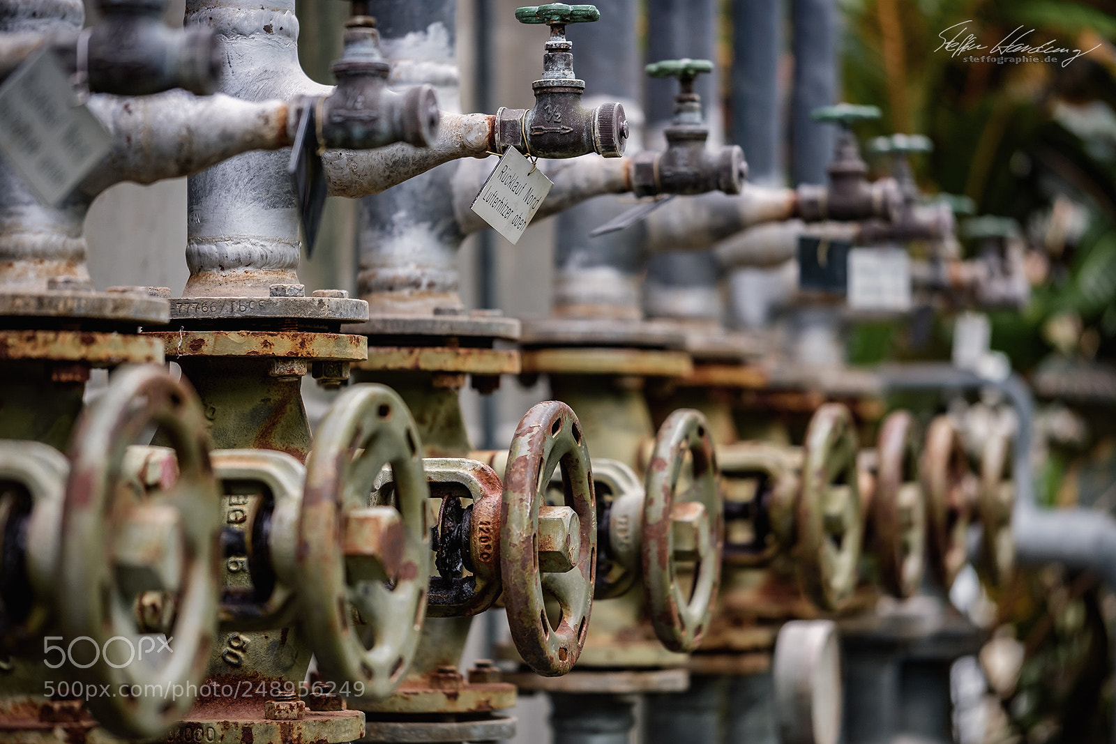 Fujifilm X-T2 sample photo. Vintage adjusting photography