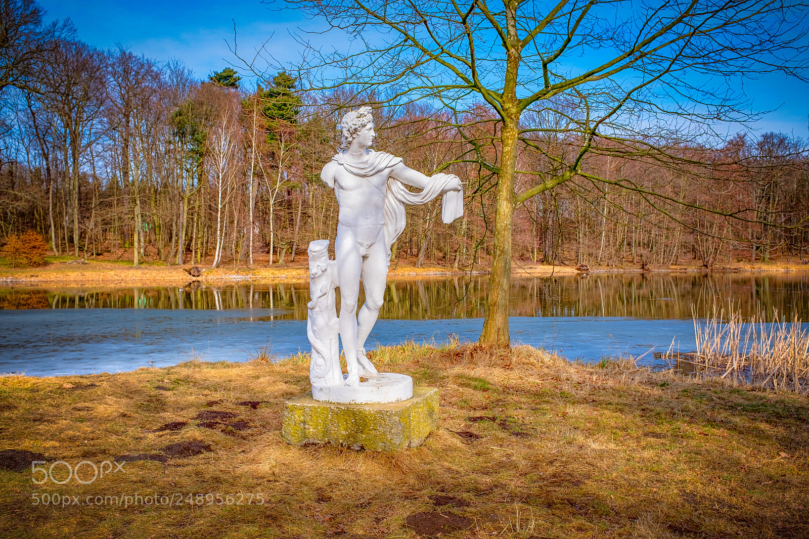 Fujifilm X100F sample photo. Apollon photography