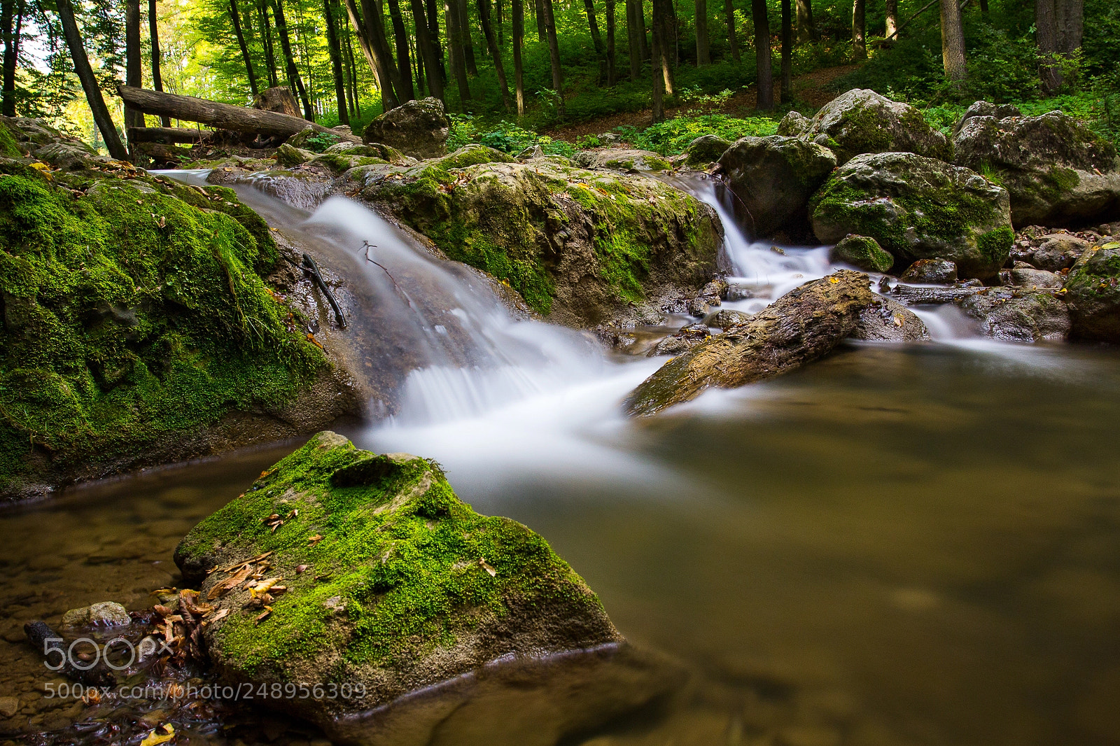 Canon EOS 60D sample photo. Little creek photography
