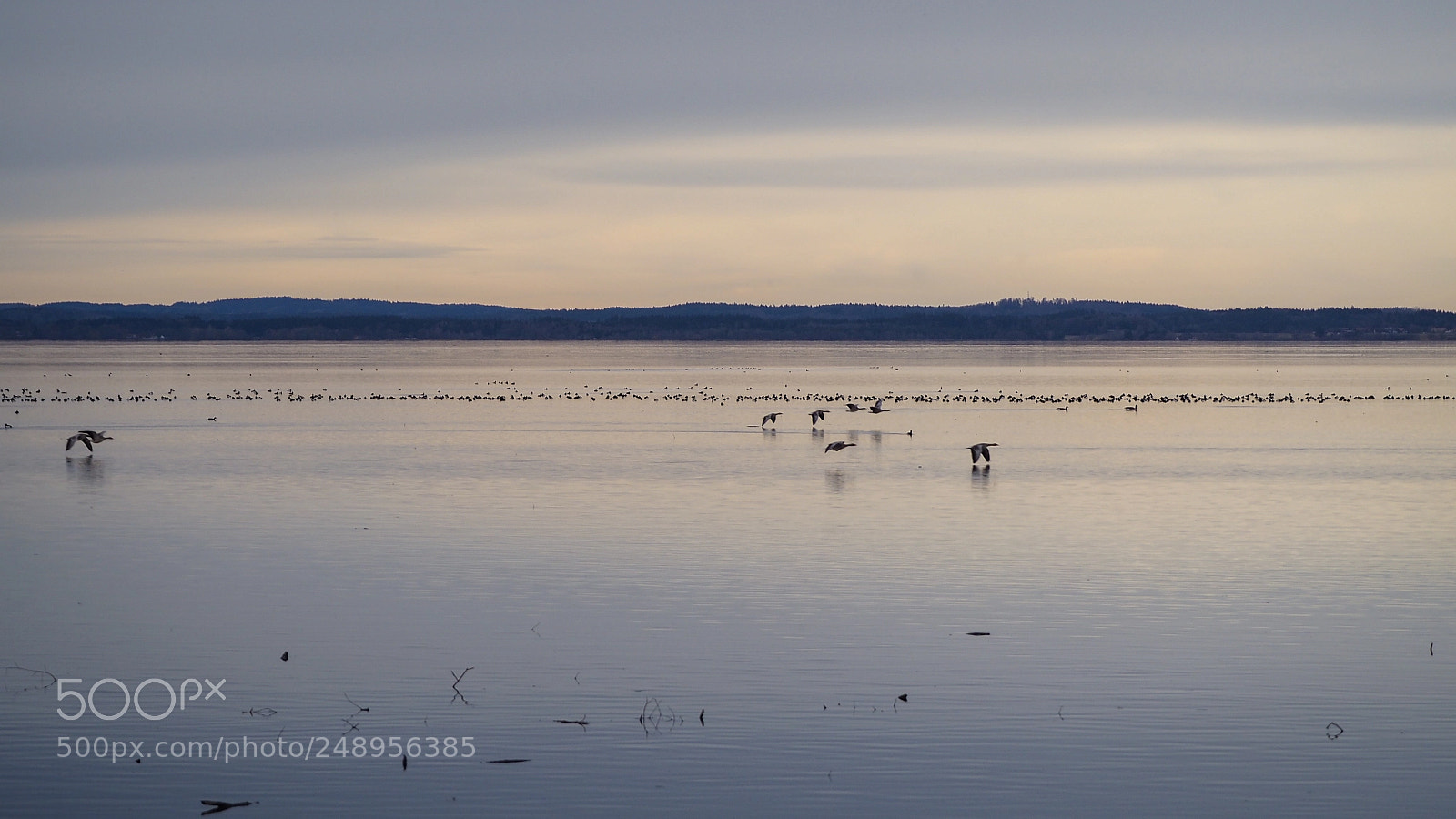 Olympus OM-D E-M5 II sample photo. Abendstimmung am chiemsee photography