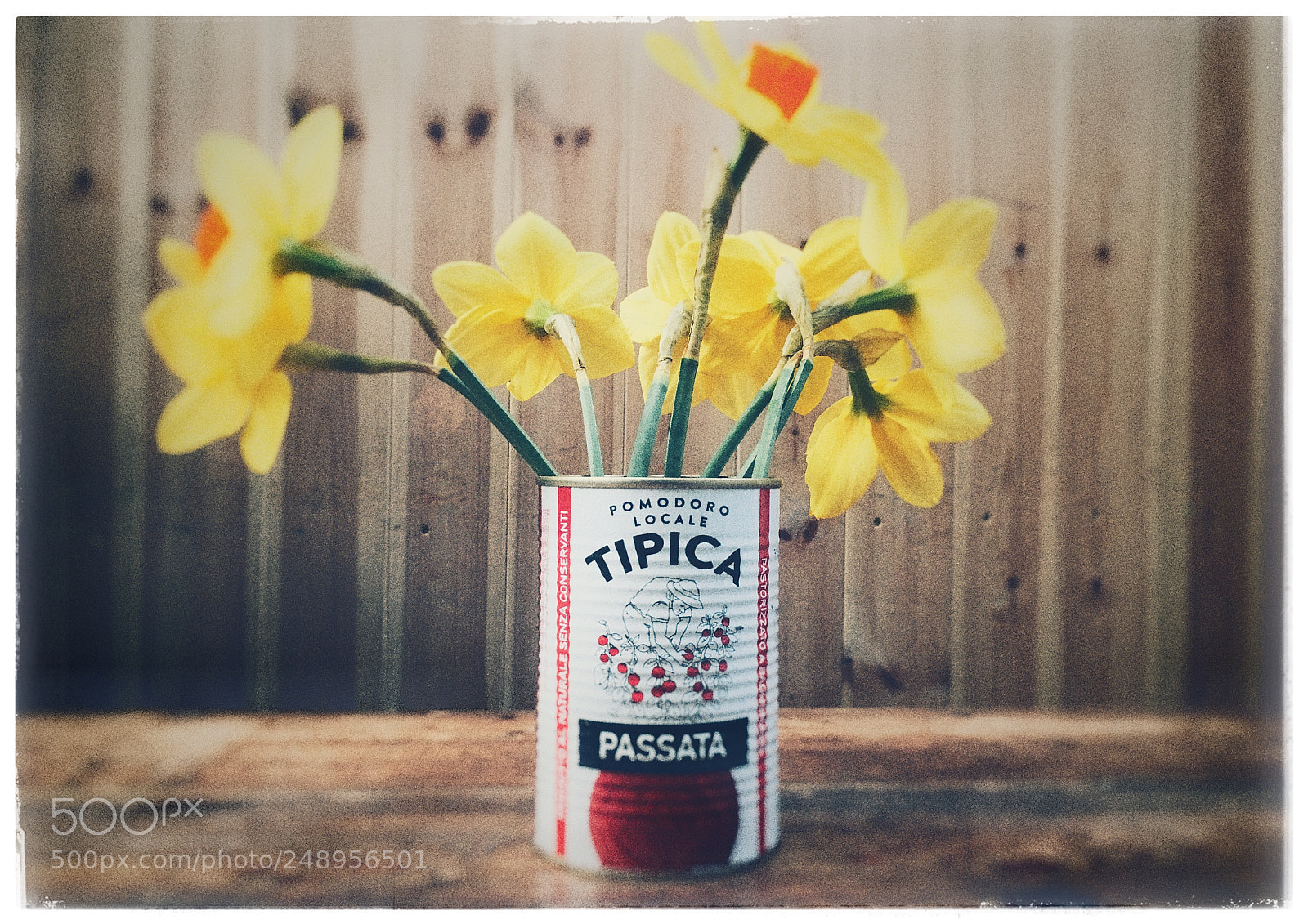 Apple iPhone SE sample photo. Spring is here photography