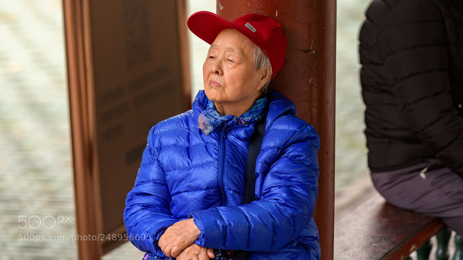 Nikon D500 sample photo. Portrait photography