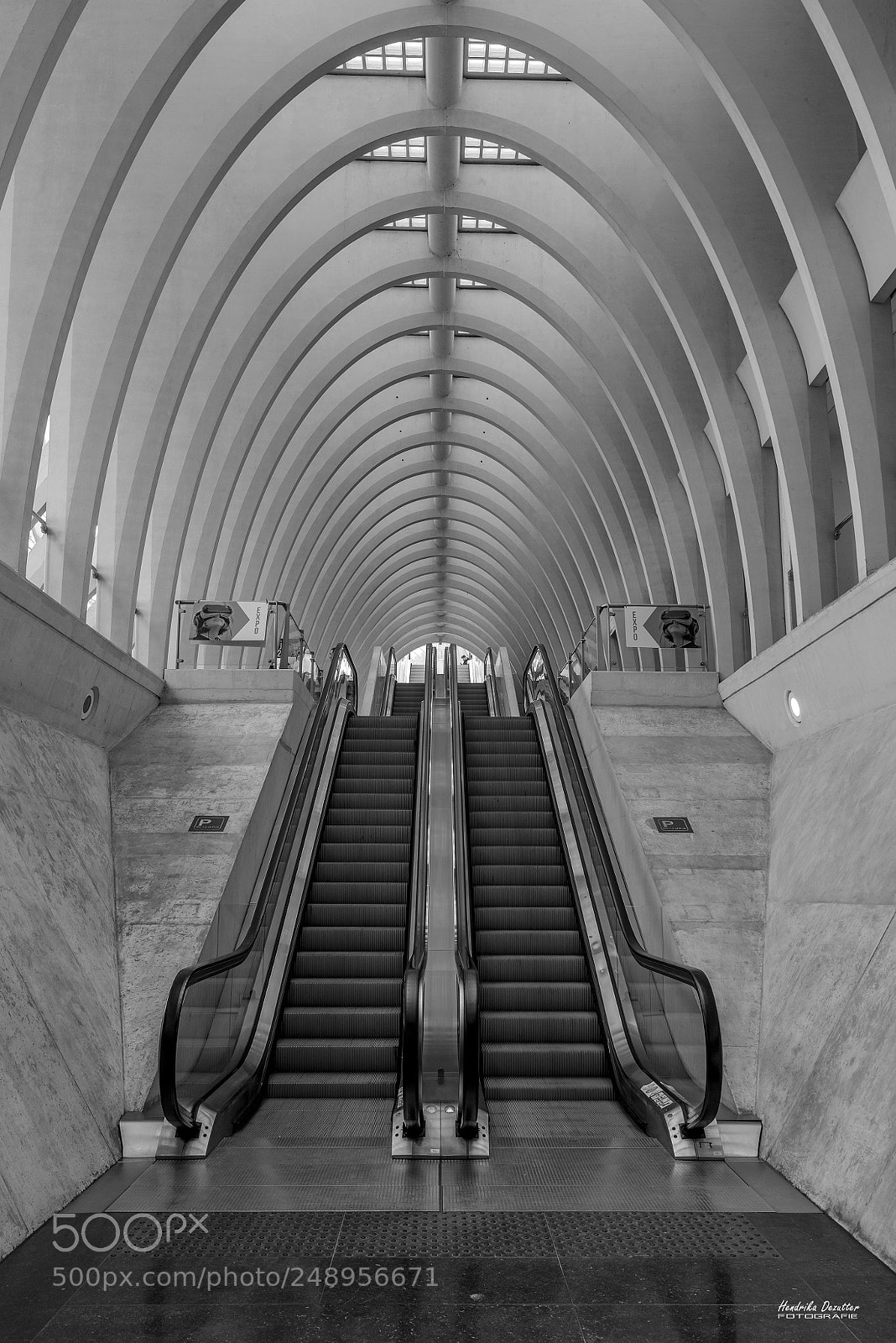 Nikon D800 sample photo. Escalator photography