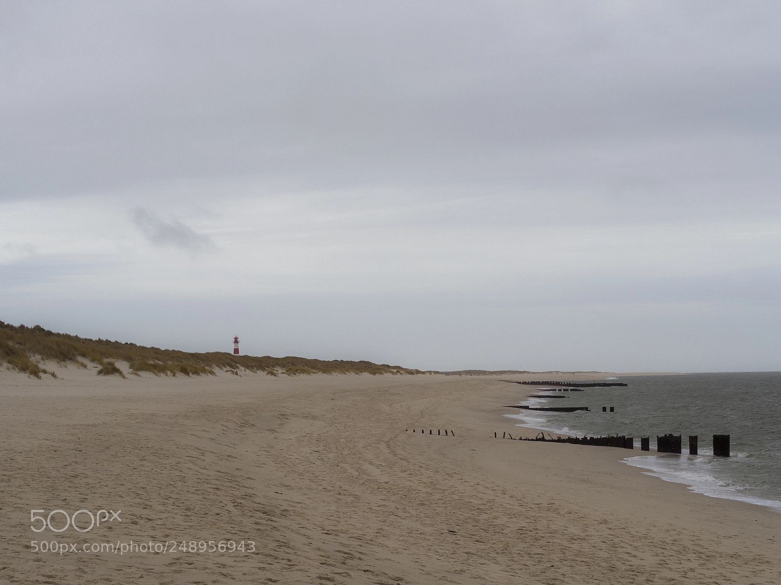 Olympus OM-D E-M10 II sample photo. Sylt beach photography