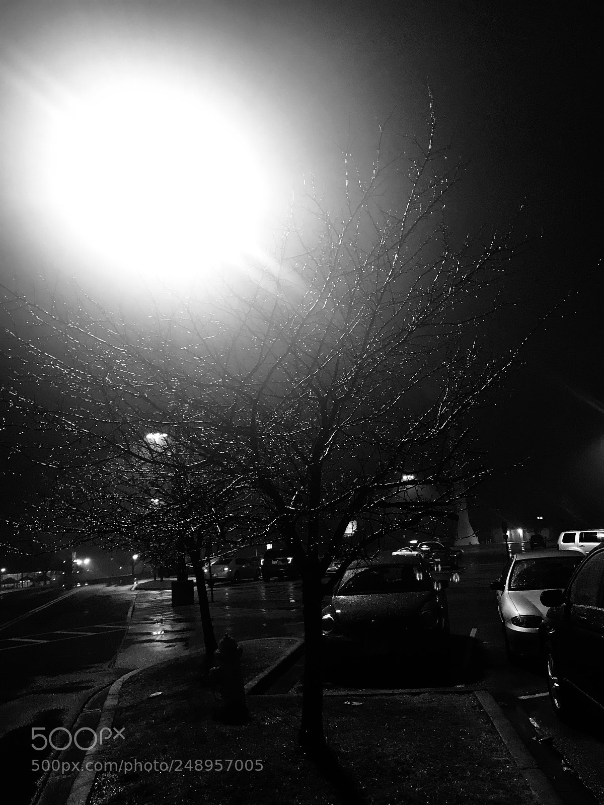 Apple iPhone 7 sample photo. Untitled photography