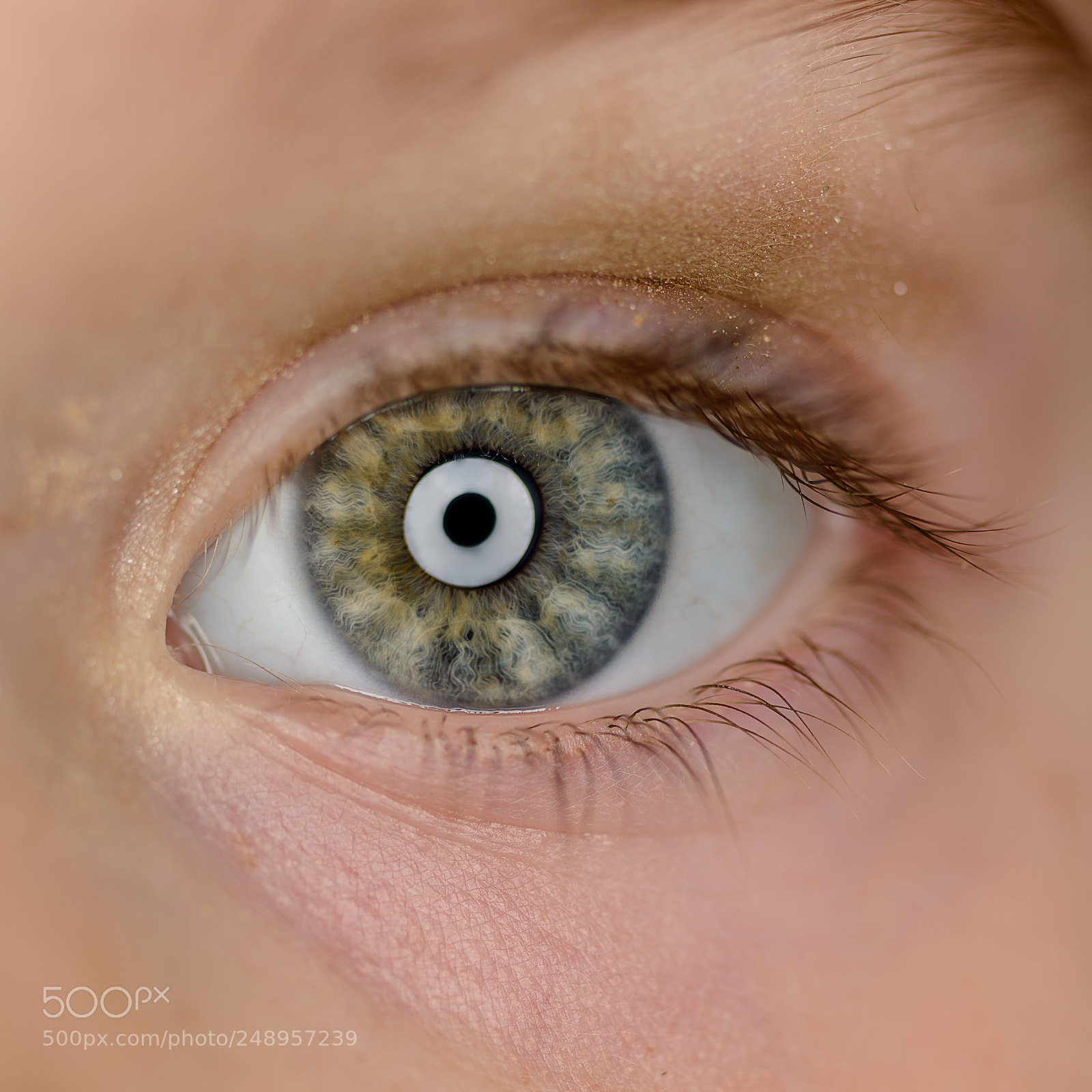 Nikon D800 sample photo. Eyes to drown in photography