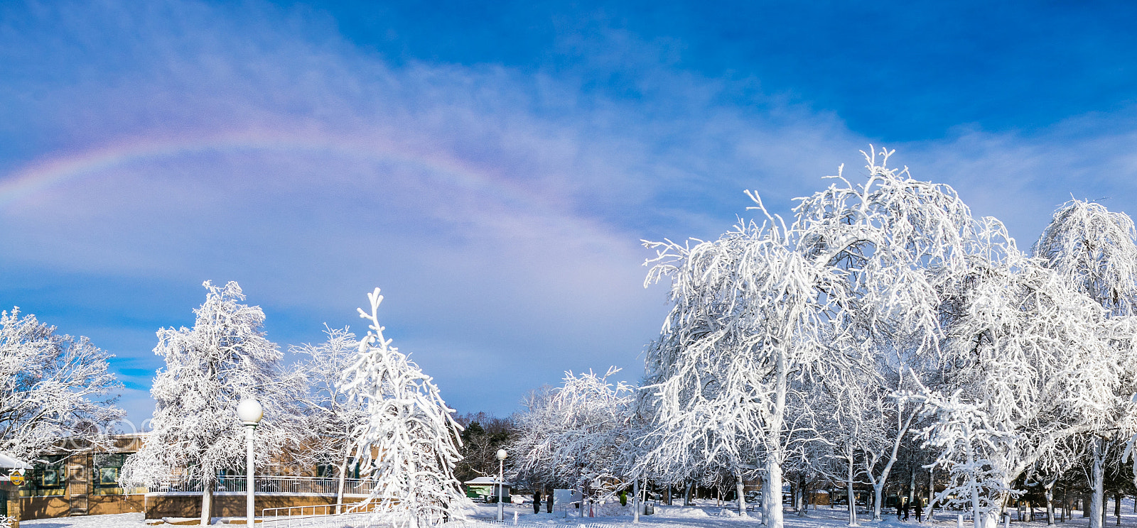 Canon EOS 80D sample photo. Rainbow in winter wonderland photography