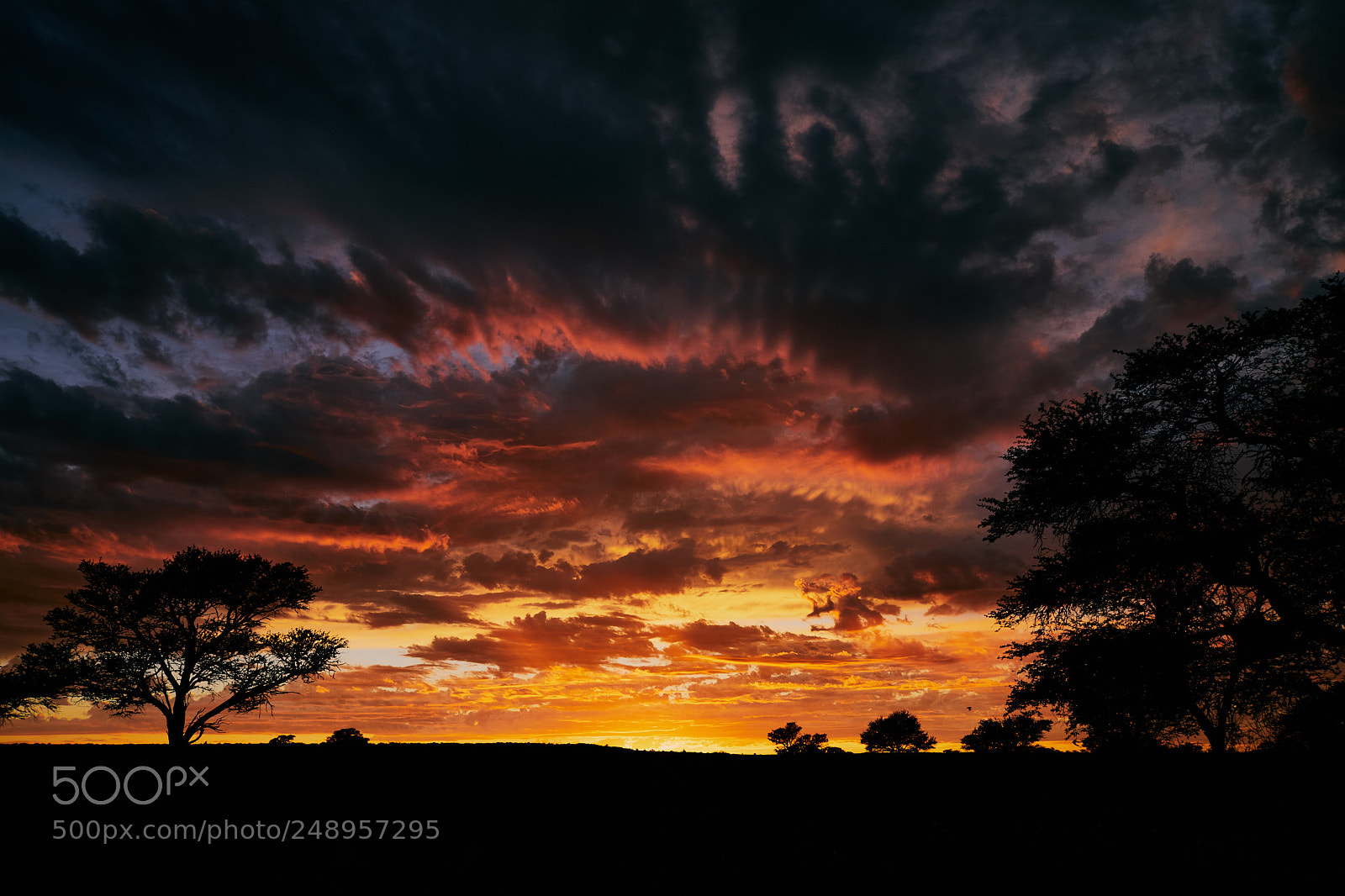 Canon EOS 5D Mark IV sample photo. Dramatic sunrise in the photography