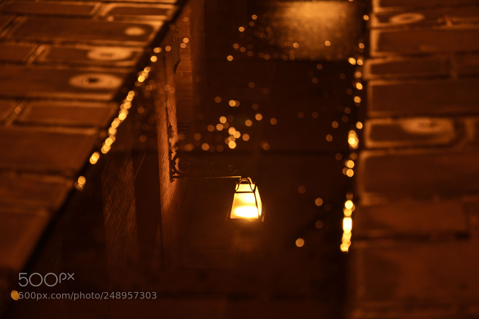 Nikon D7100 sample photo. Light, upside down photography